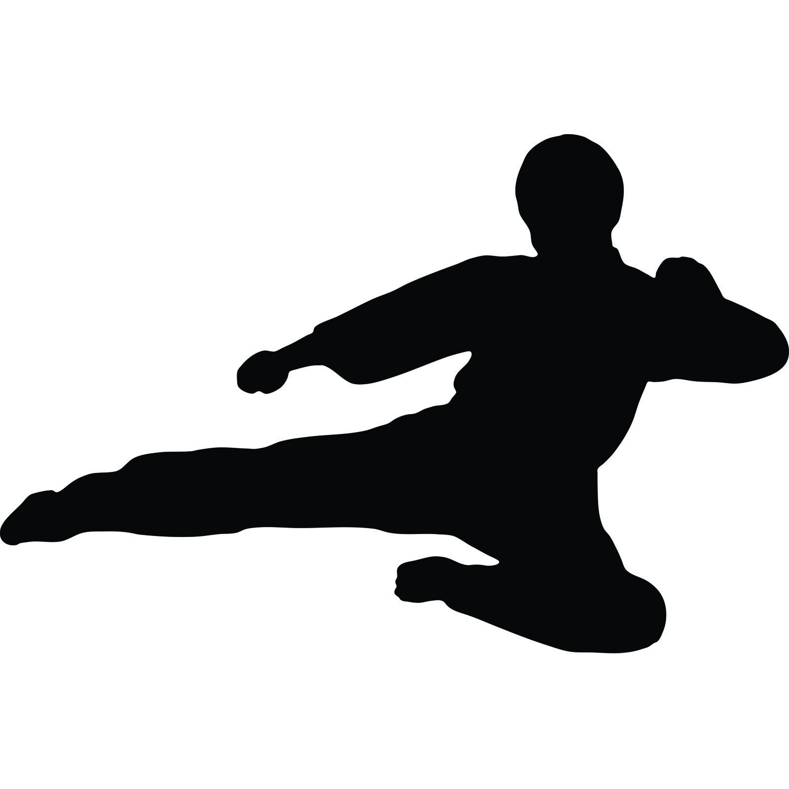 Martial Arts Flying Kick v2 Karate Kung Fu Wall Sticker - World of ...