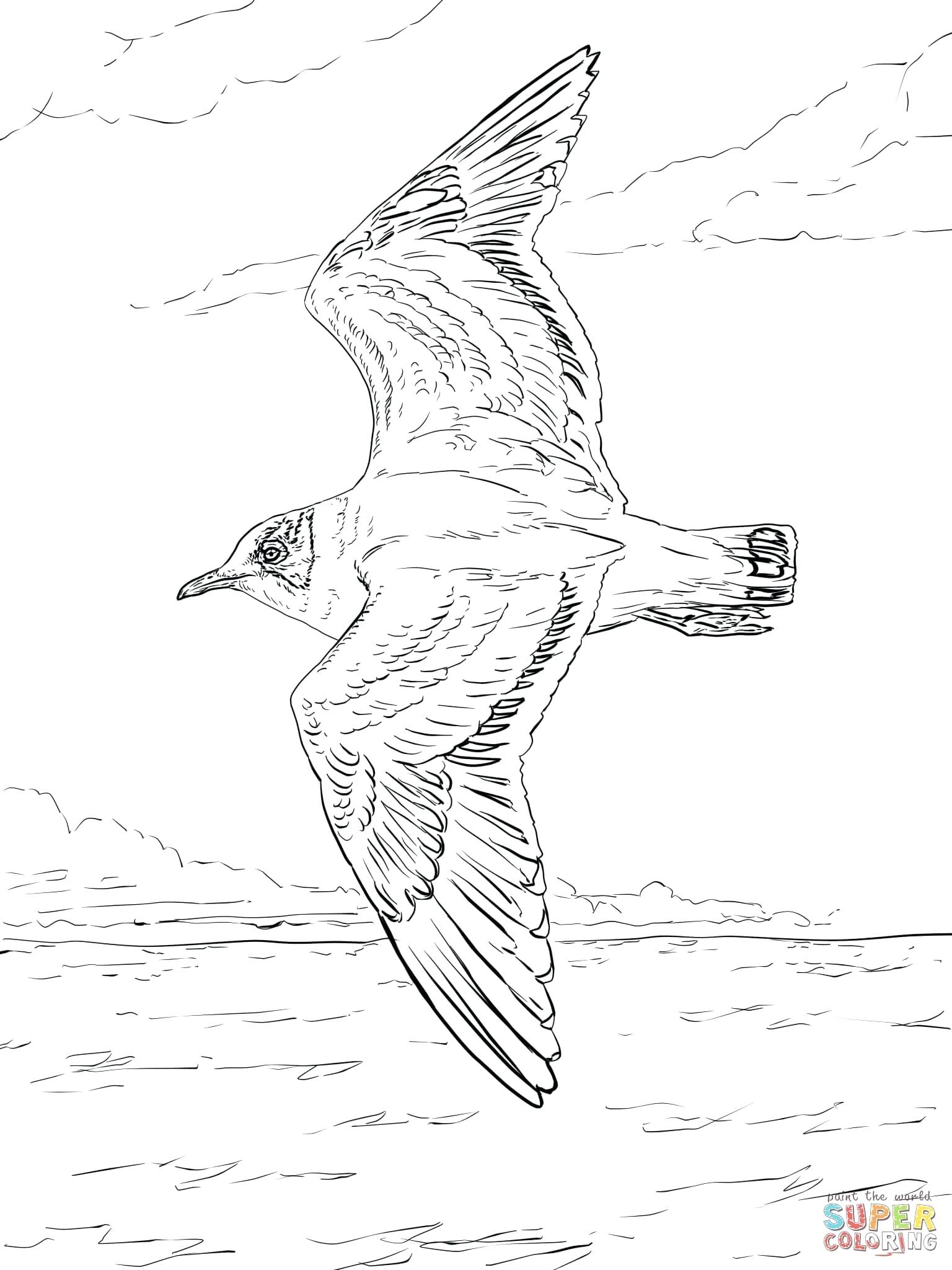 Flying Seagull Drawing at GetDrawings.com | Free for personal use ...