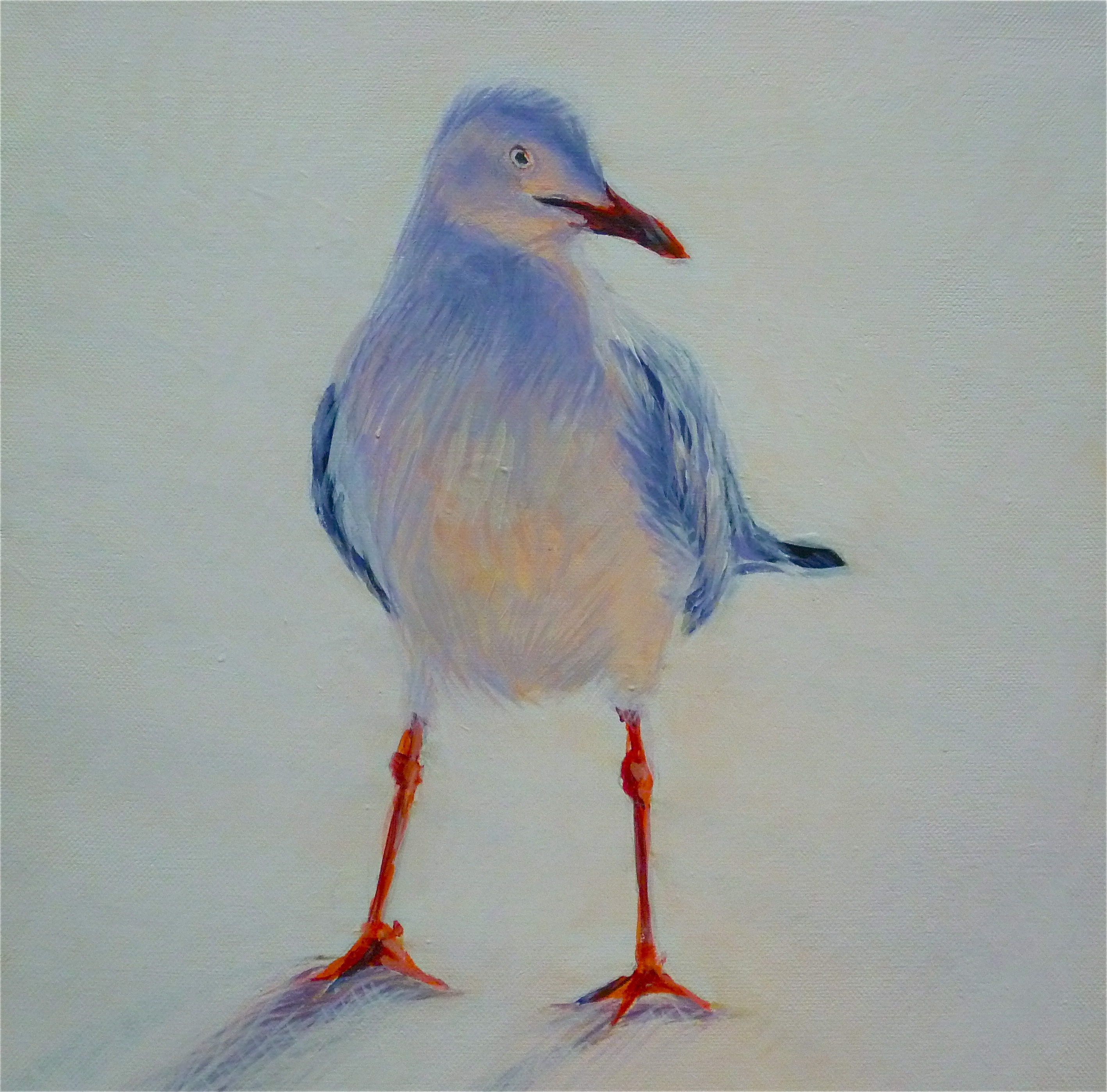 flying seagull | Elizabeth Moore Golding