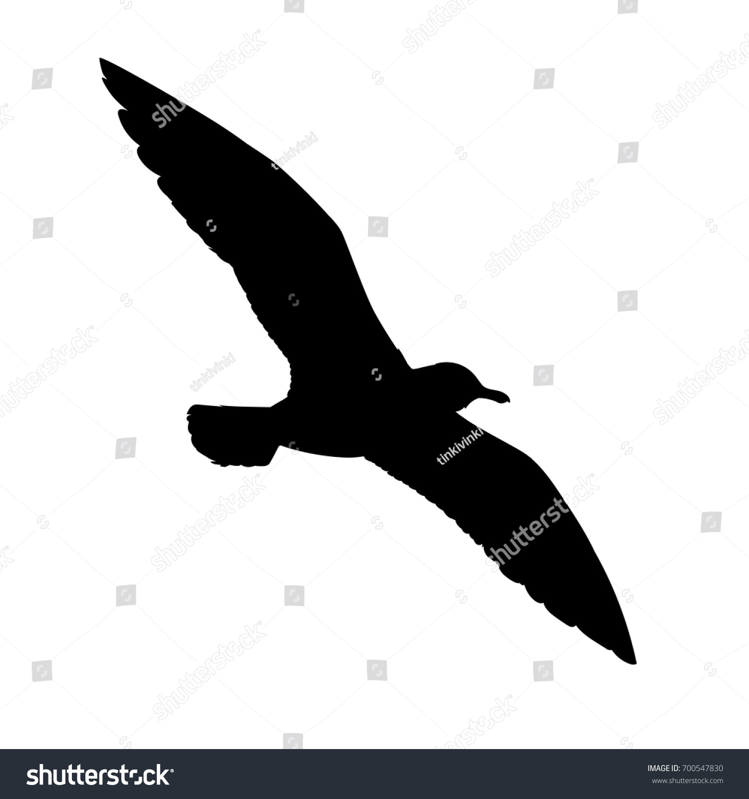 Flying Seagull Silhouette Vector Illustration Monochrome Stock ...