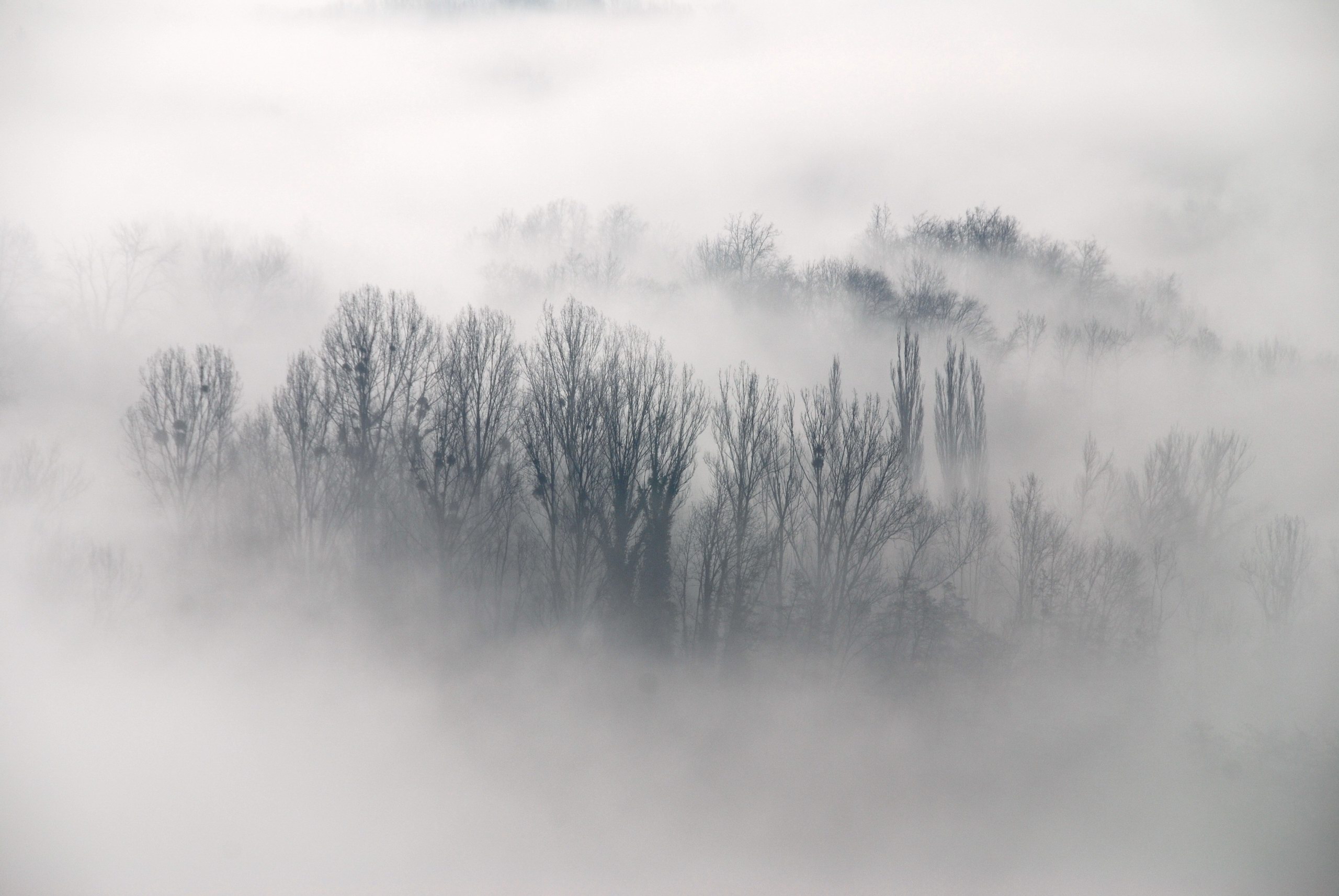 What is fog? | How It Works Magazine