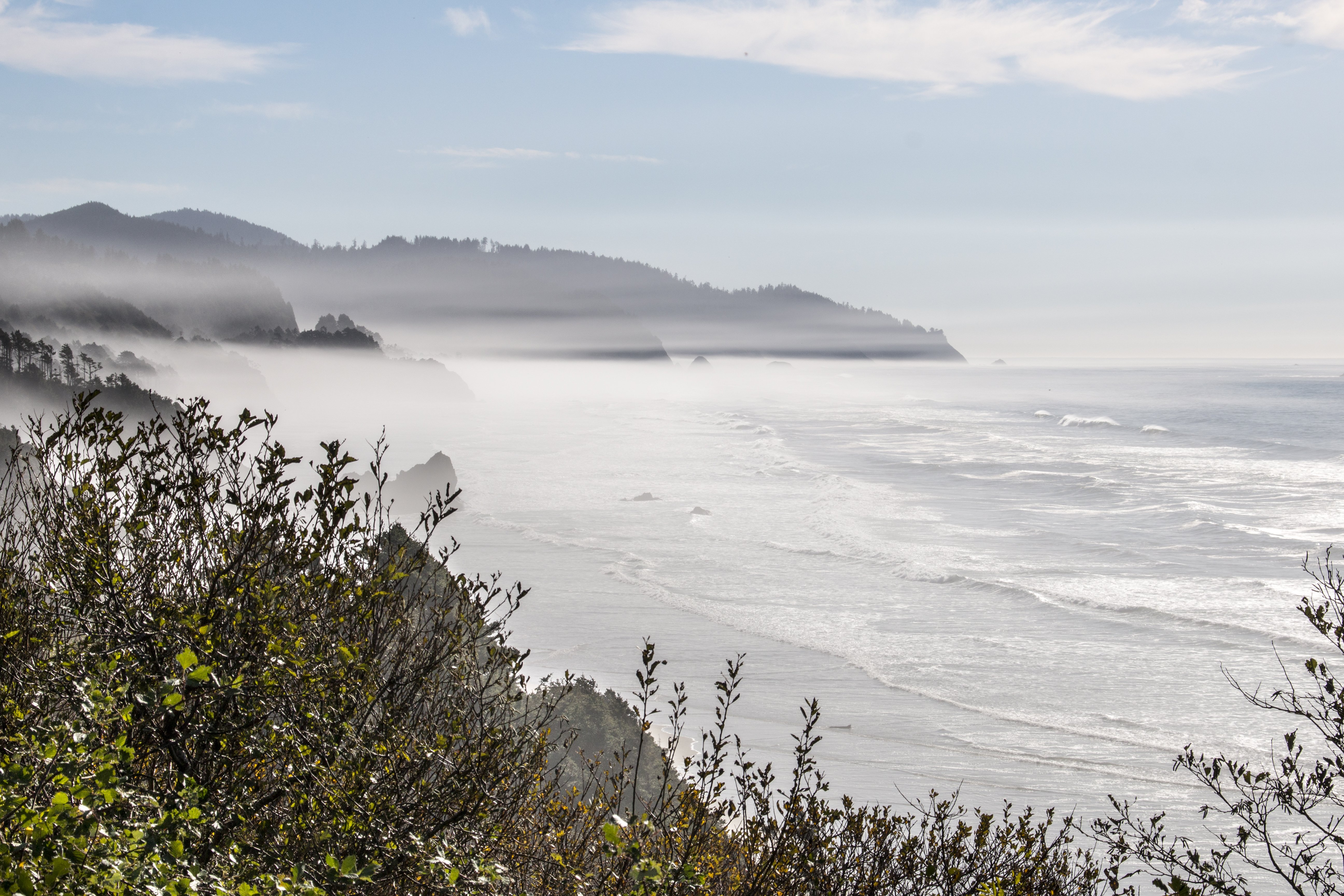 Fog on coastline, oregon photo