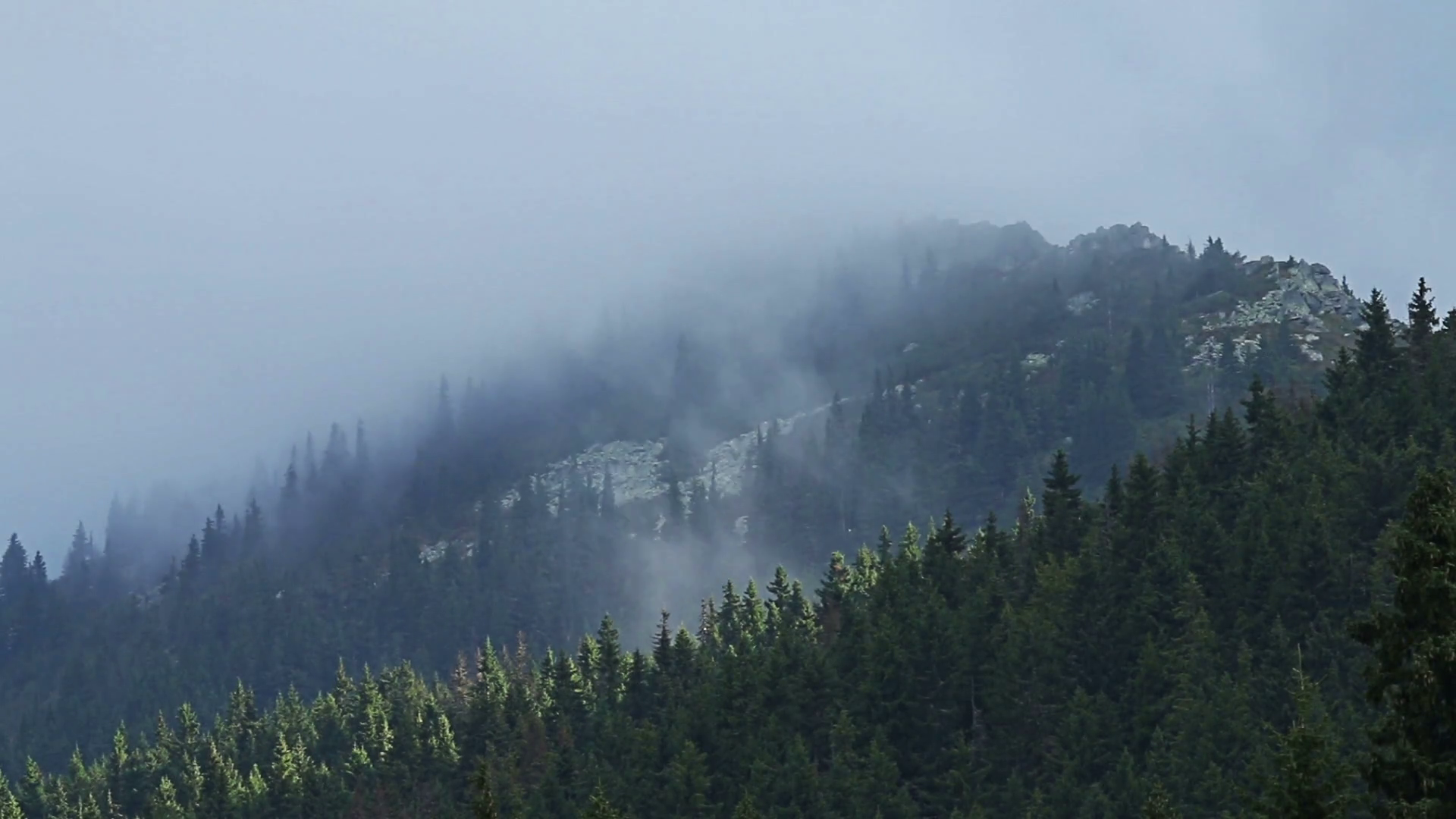 Time lapse of fog rolling in over the hills with pine tree forest ...