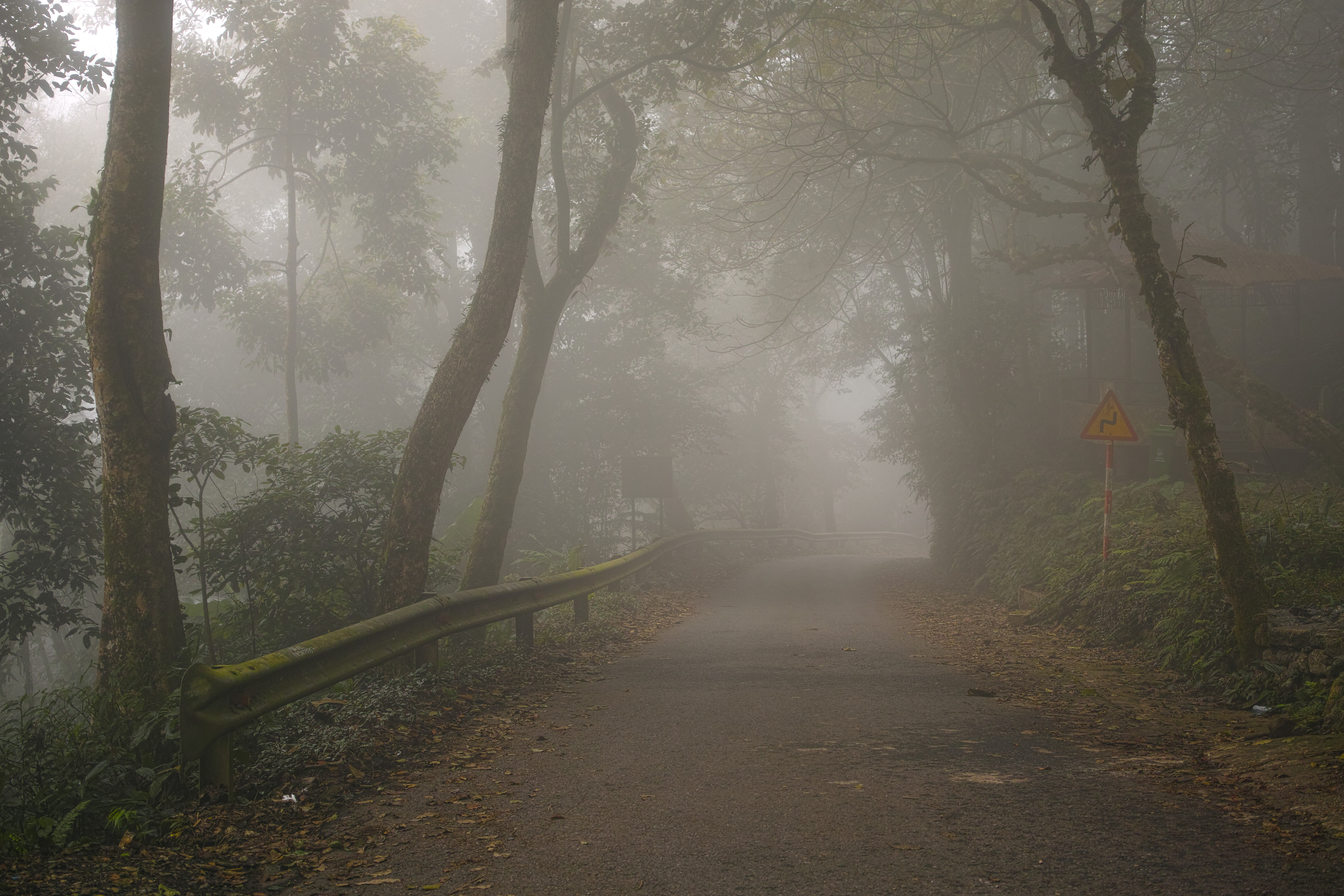 File:Ba Vì National Park, foggy road.jpg - Wikimedia Commons