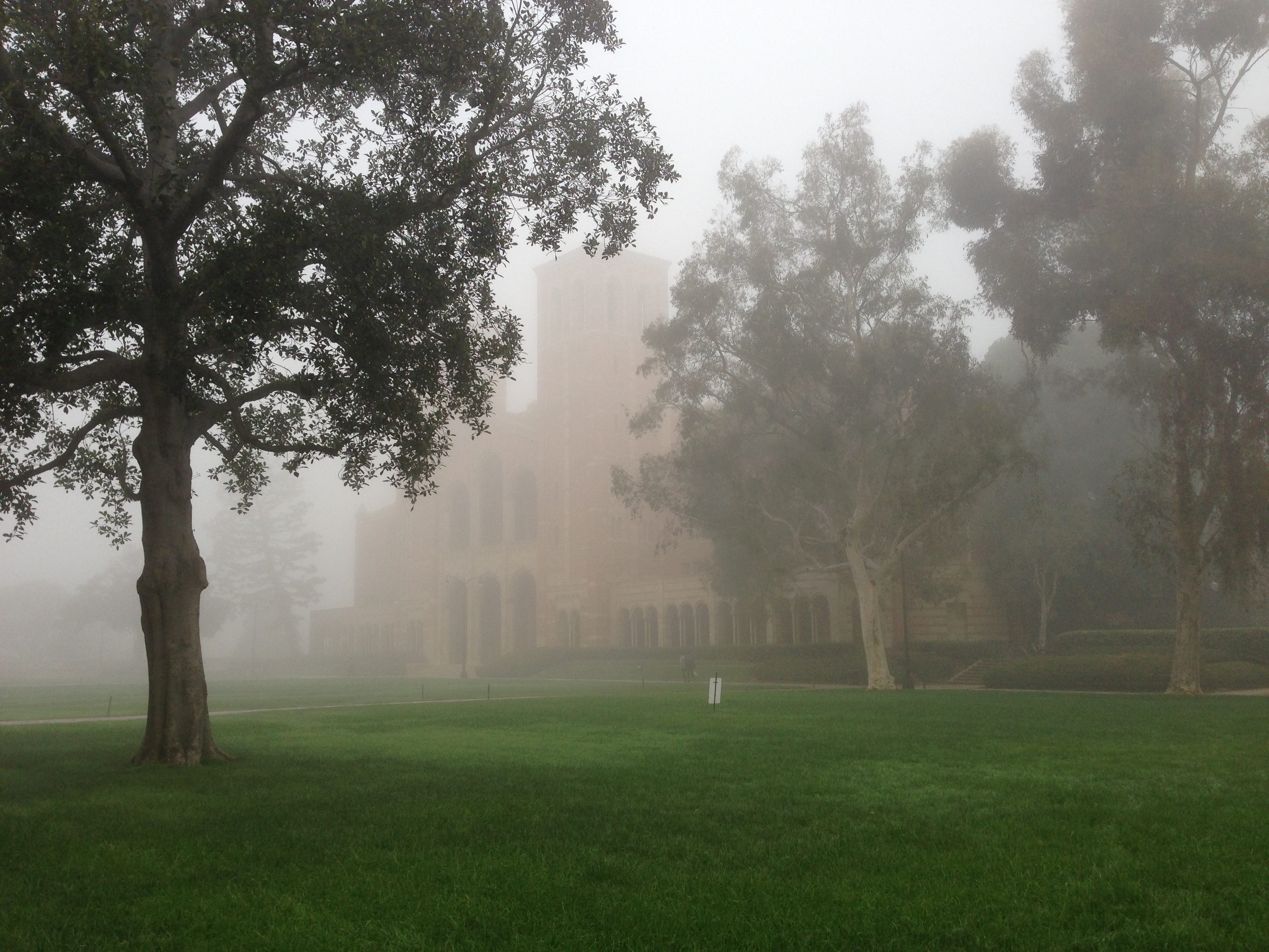 A foggy day in LA : Bruce's Blog
