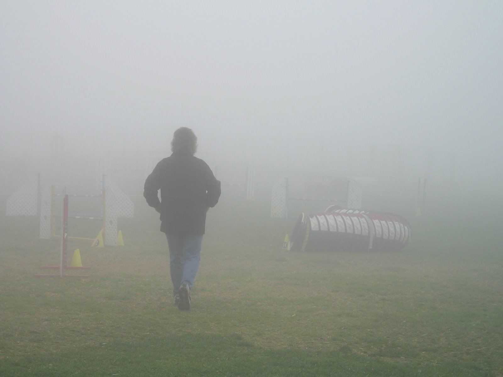Taj MuttHall Dog Diary: Foggy Agility Practice