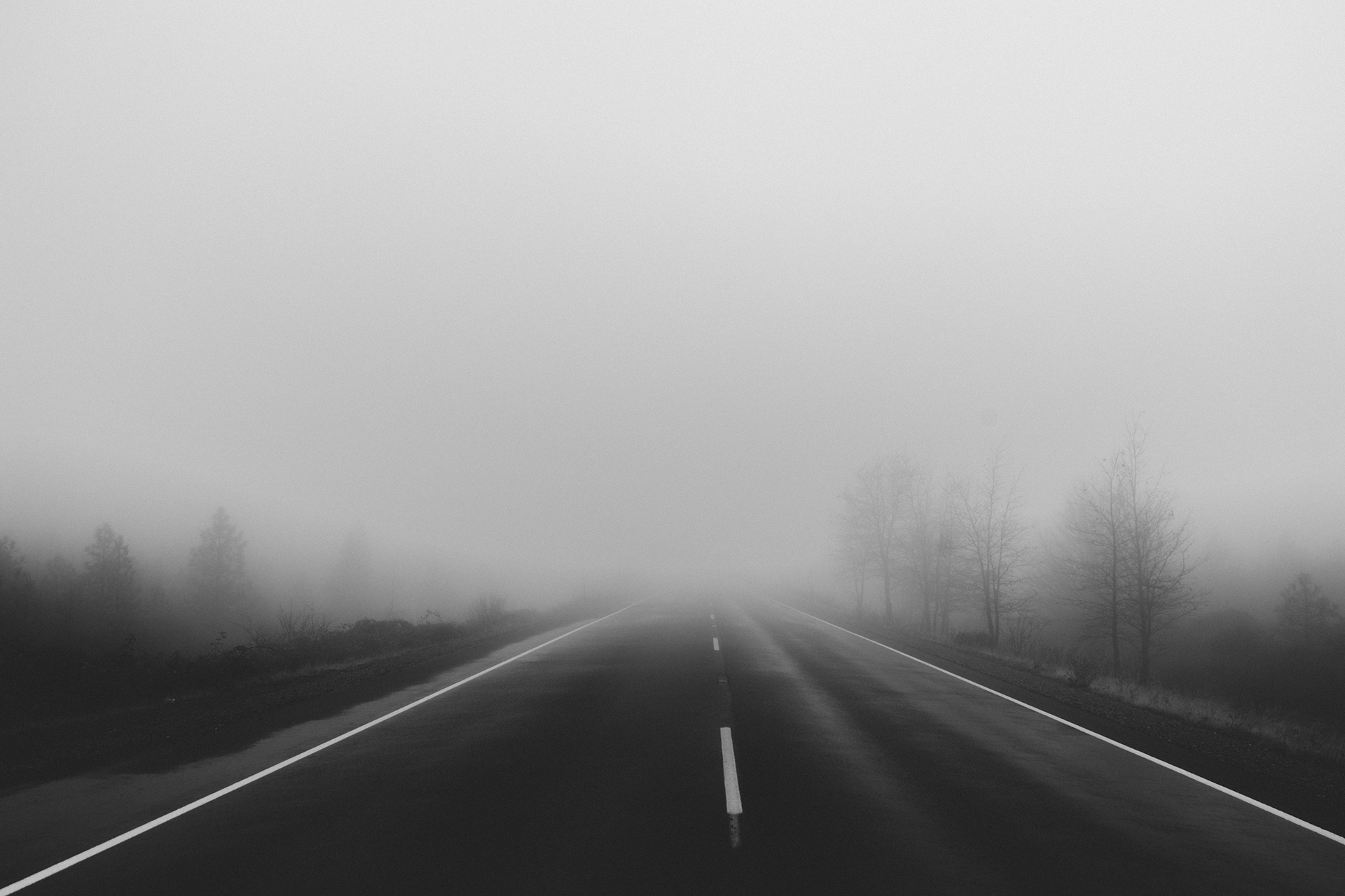 road-fog-foggy-mist - The Ultrasound Site
