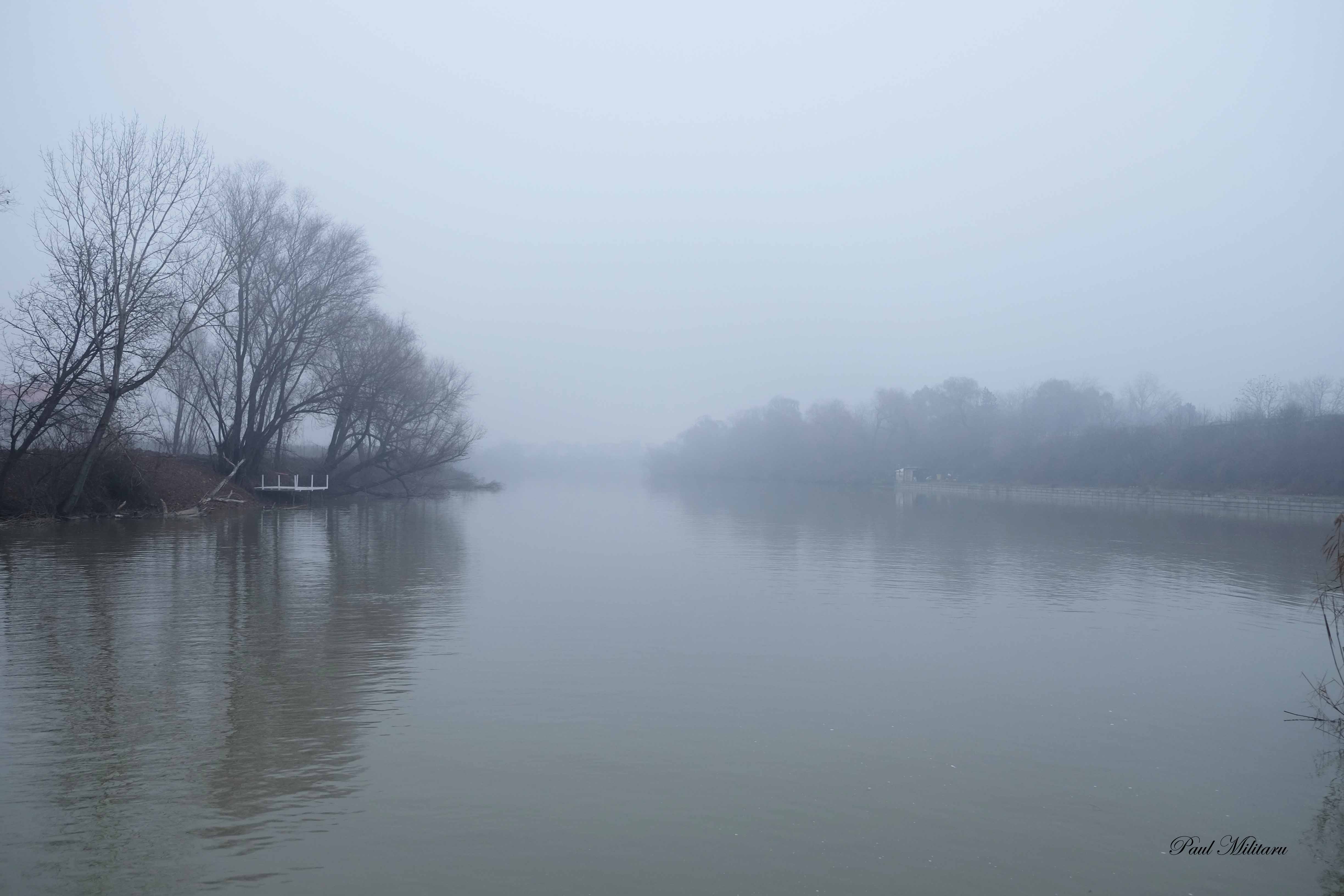 foggy lake | Paul Militaru