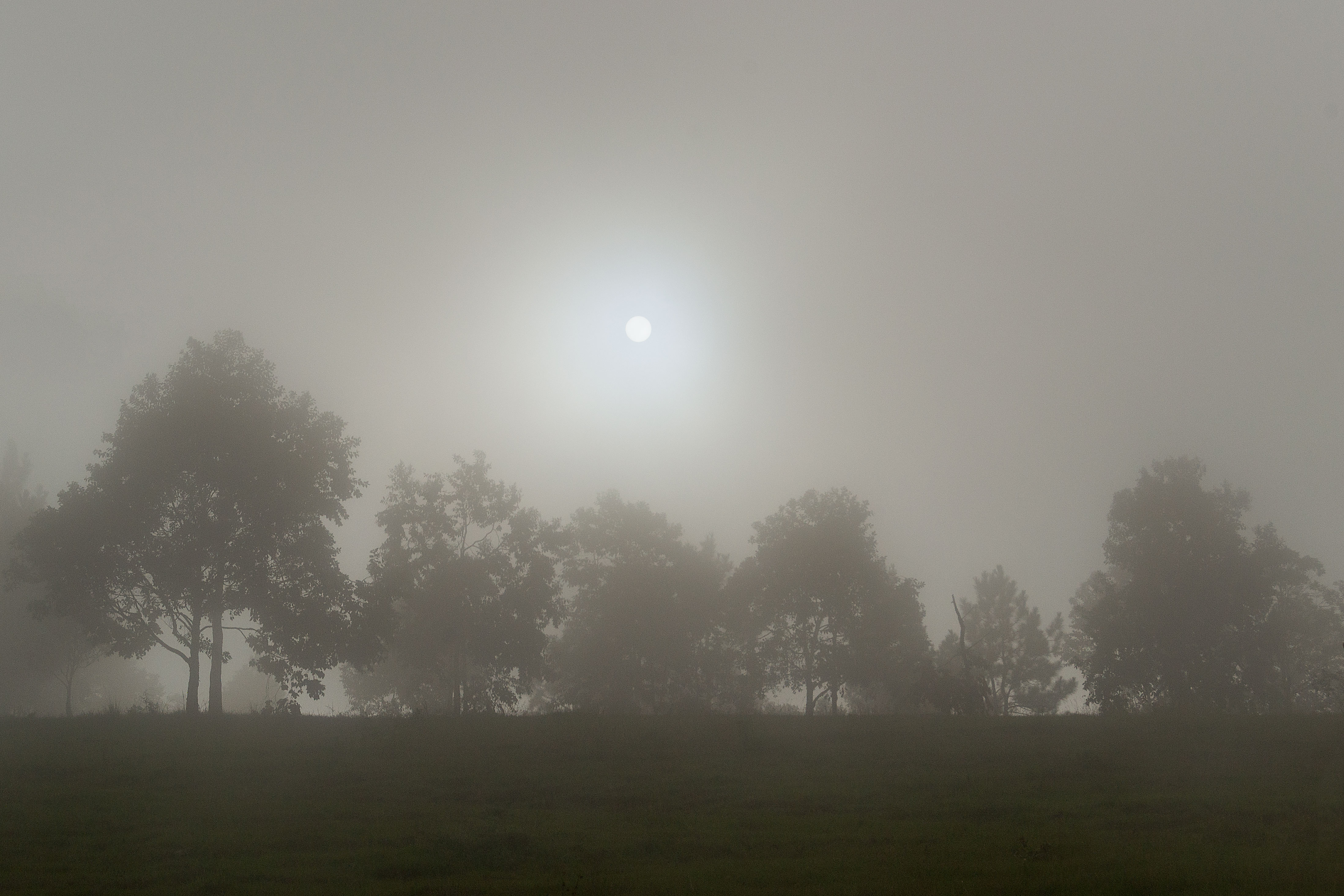 File:A very foggy day.jpg - Wikimedia Commons