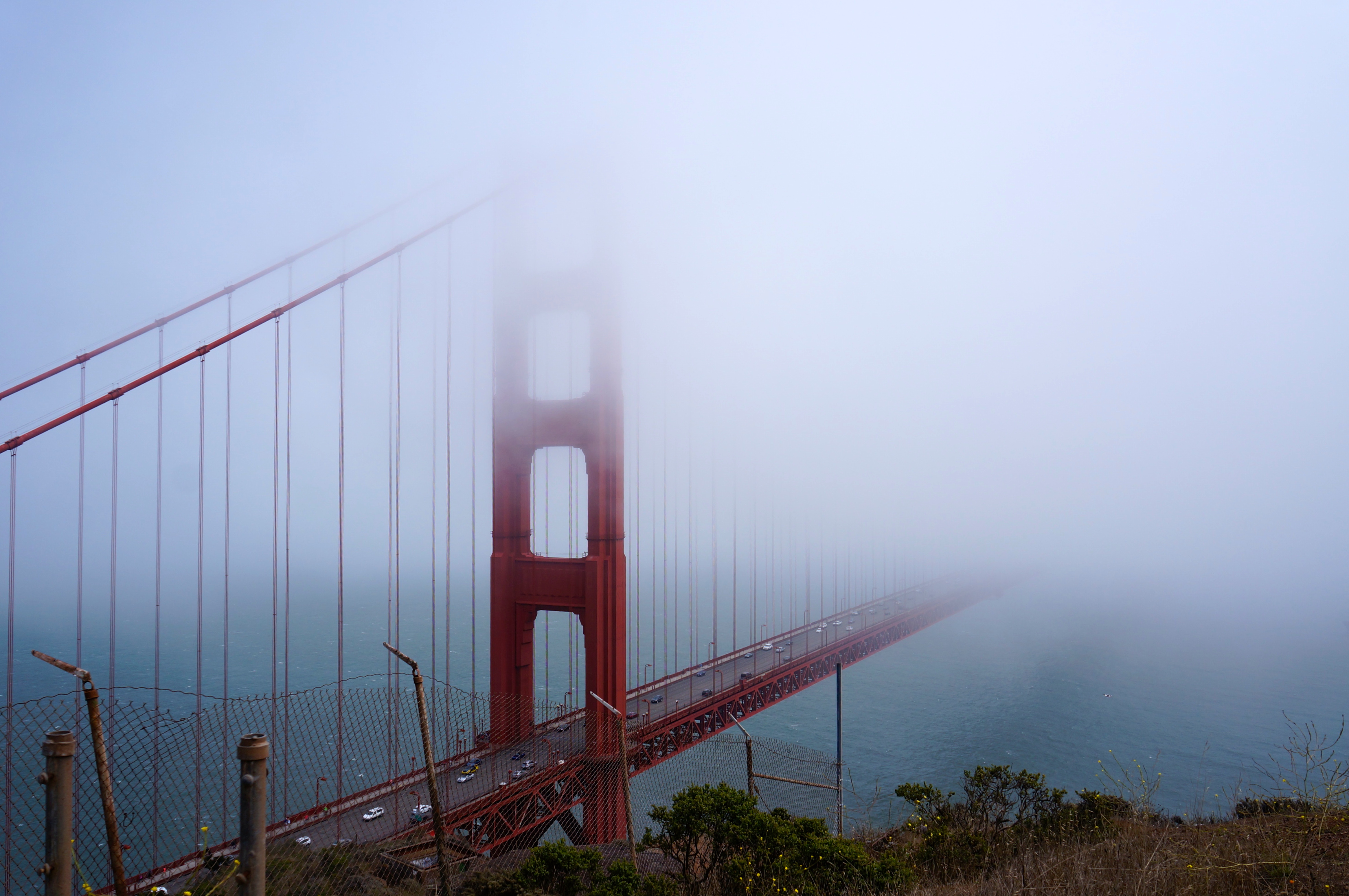 FotoFriday: Golden Gate Bridge Fog