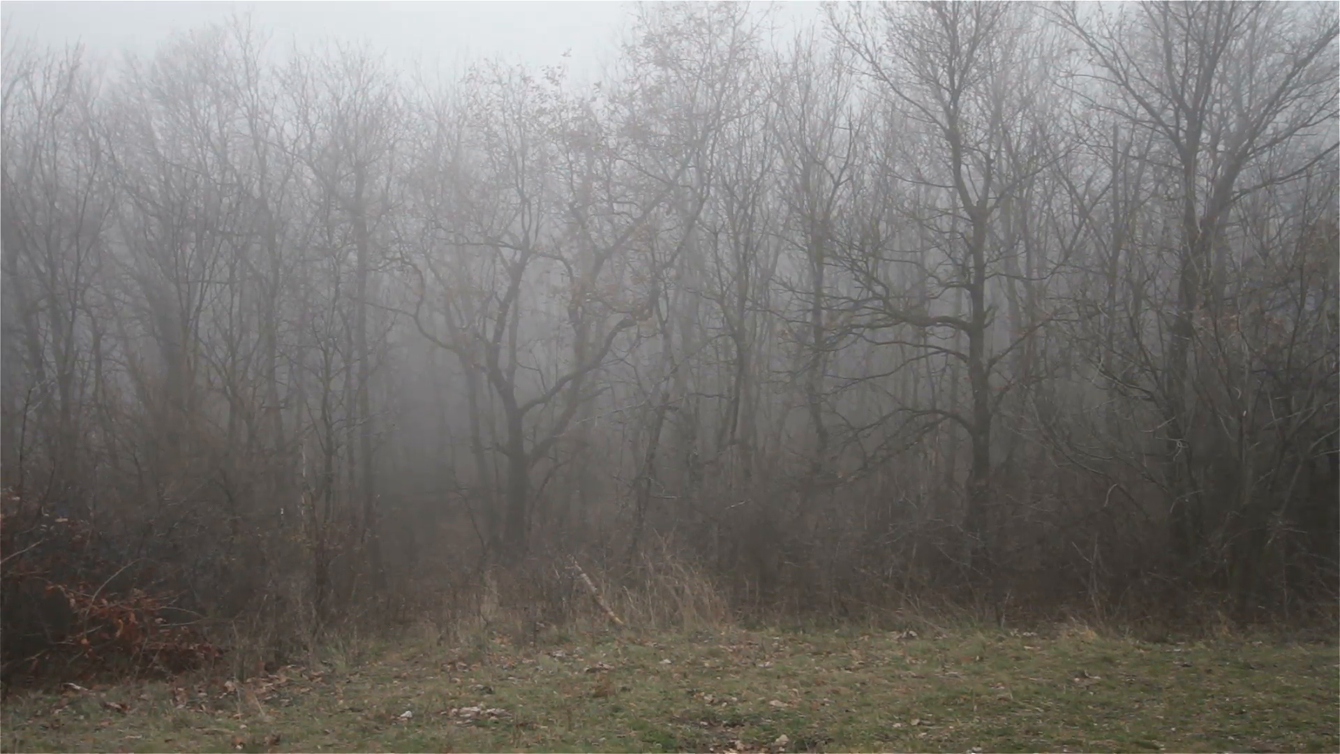 Scary Hill Foggy Forest in Winter Stock Video Footage - Videoblocks