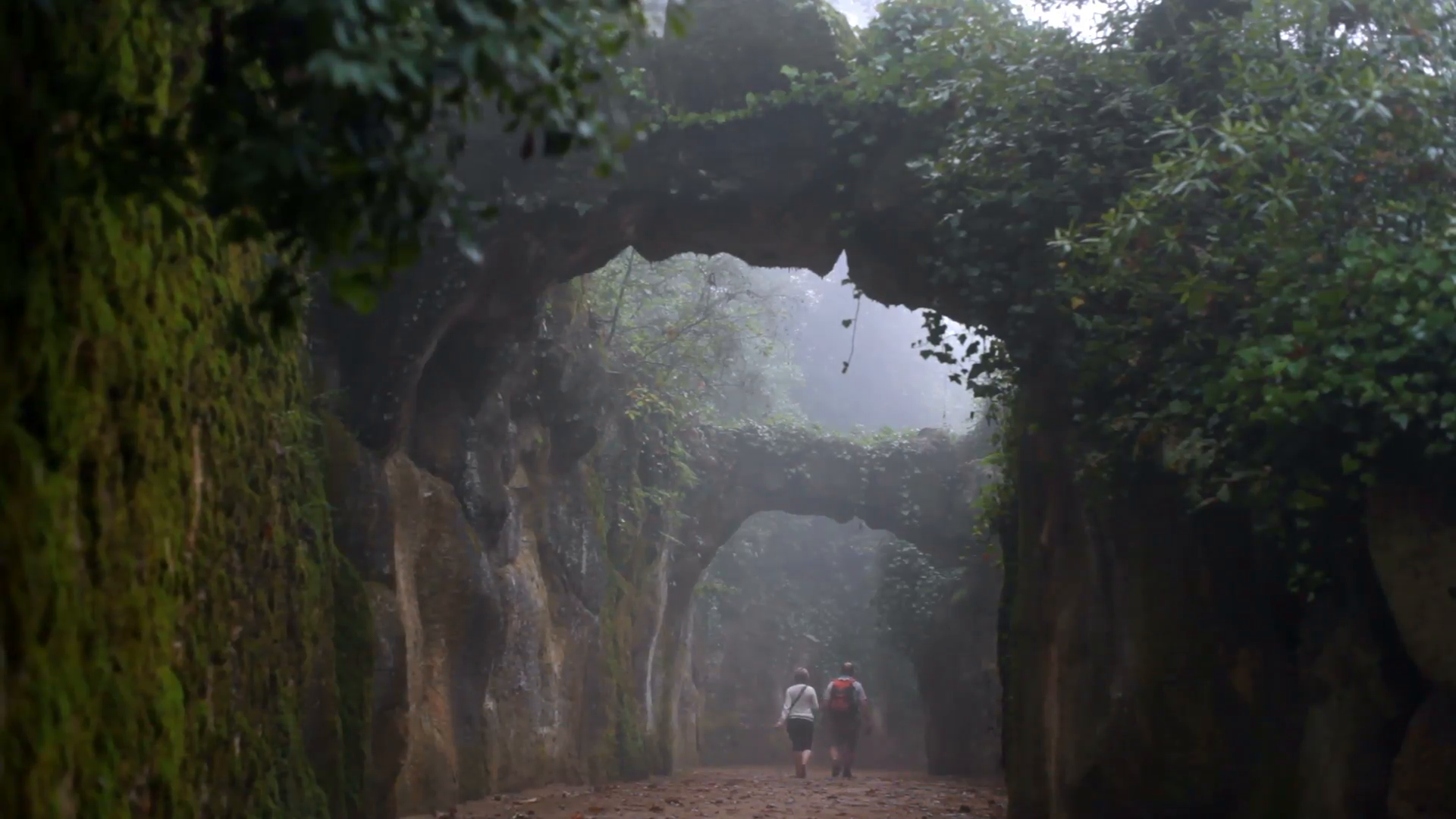 Couple walk in magical foggy forest path, stone bridge arcs, Sintra ...
