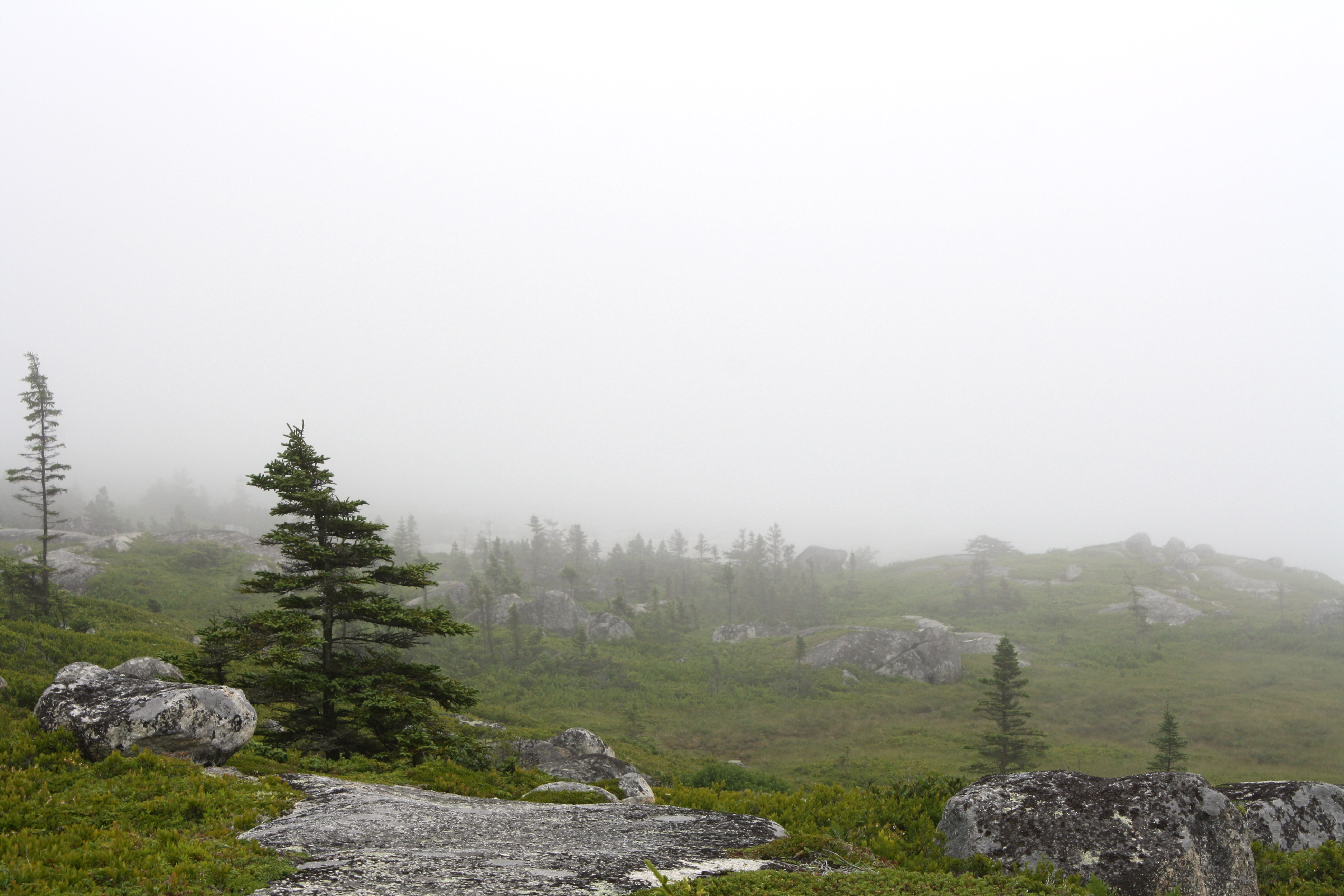 Foggy landscape photo