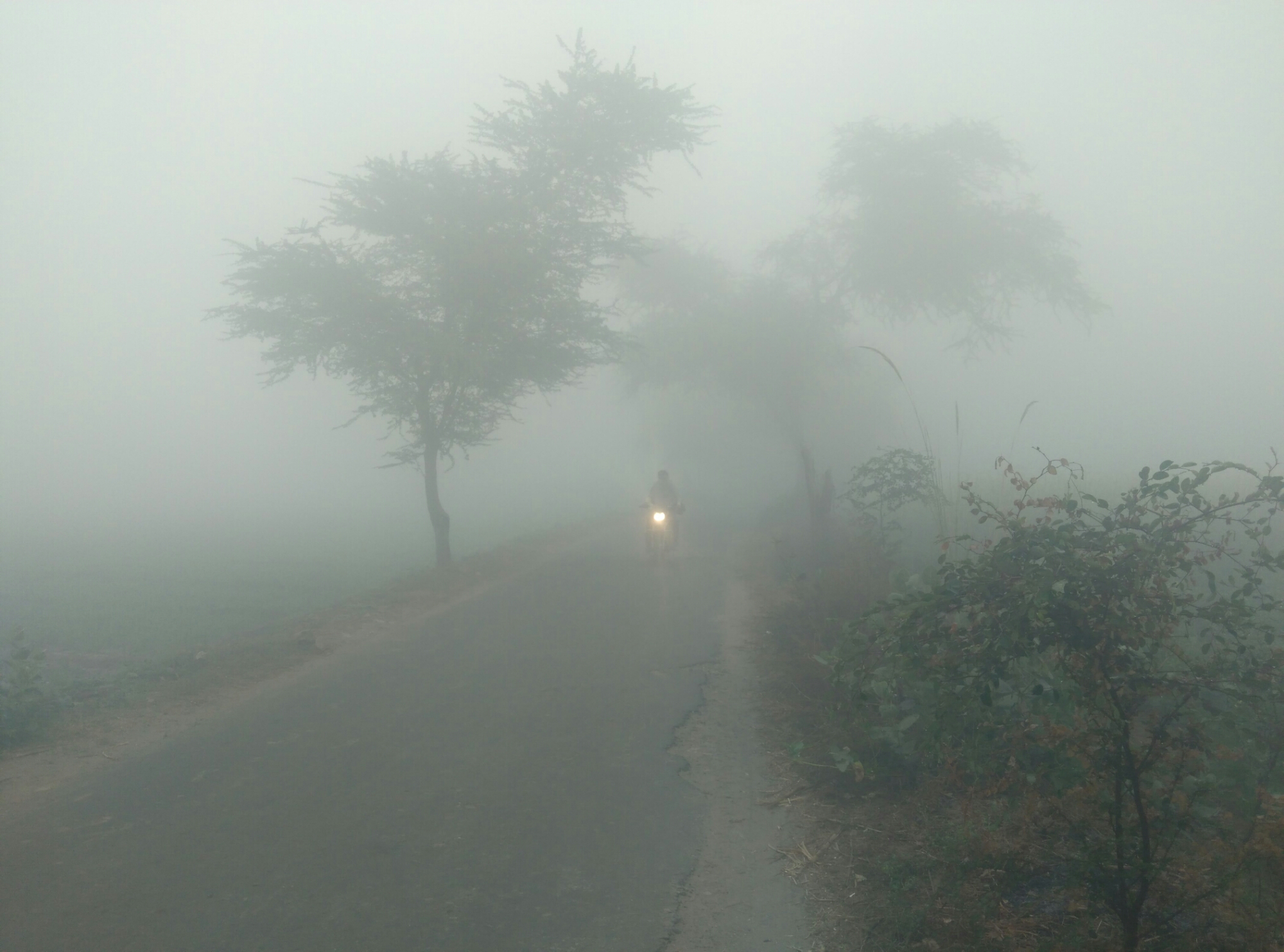 A foggy morning in Jatwara | Chinmaye