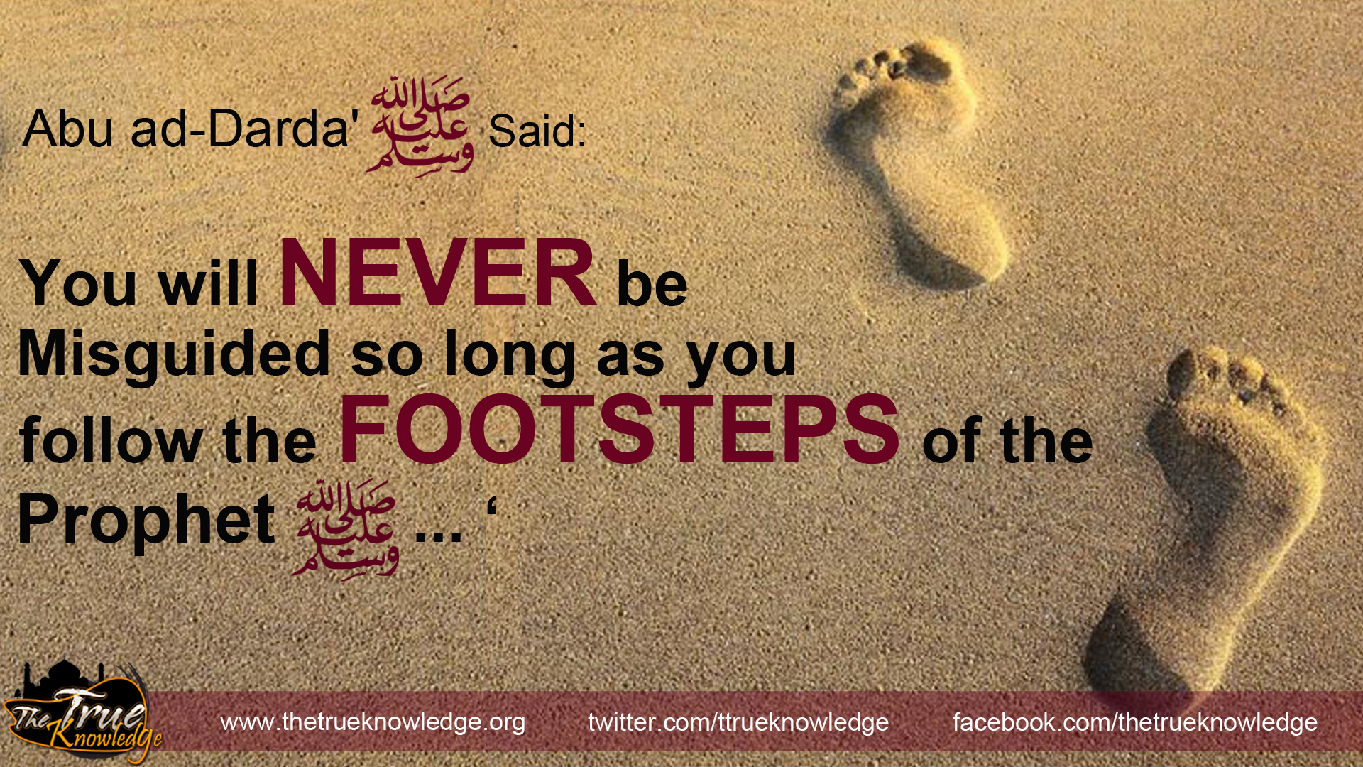 Follow the footsteps | True Knowledge of Islam, Muslims, Quran ...