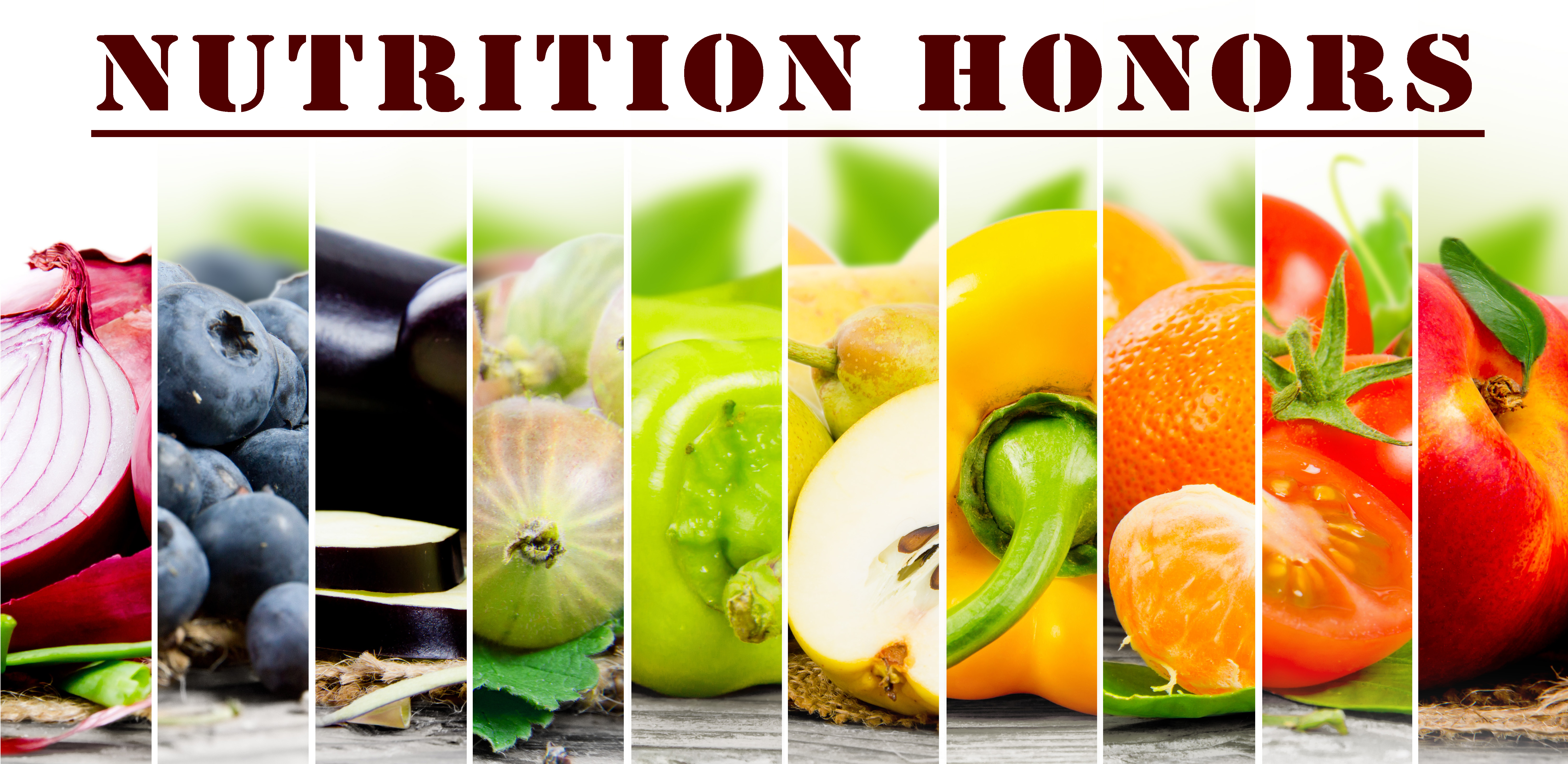 Honors Program in Nutritional Science - Nutrition