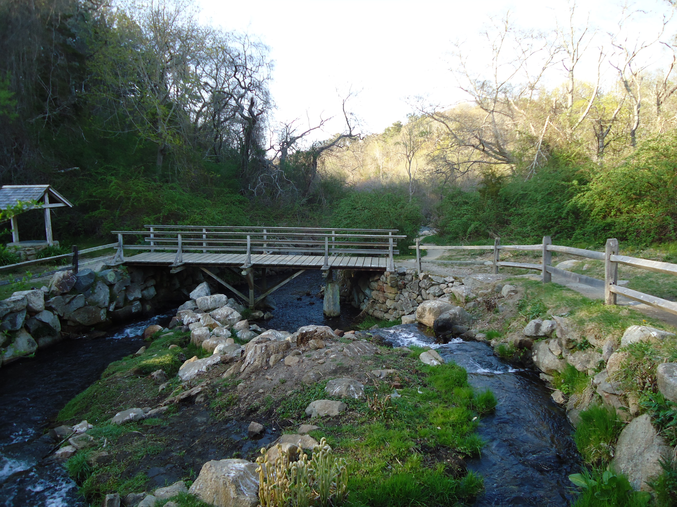 Foot bridge over stream photo