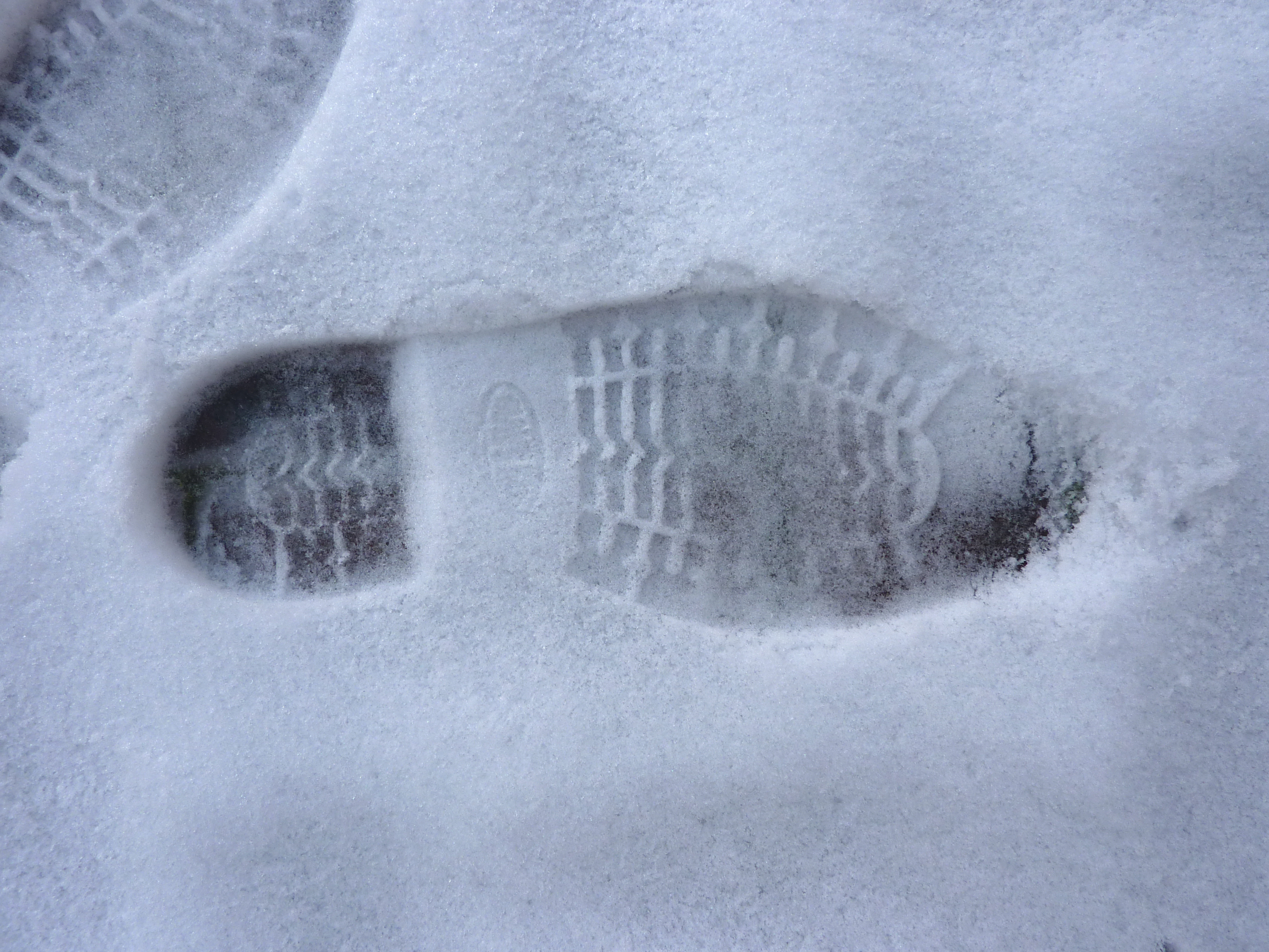 Footprints in snow | photo page - everystockphoto