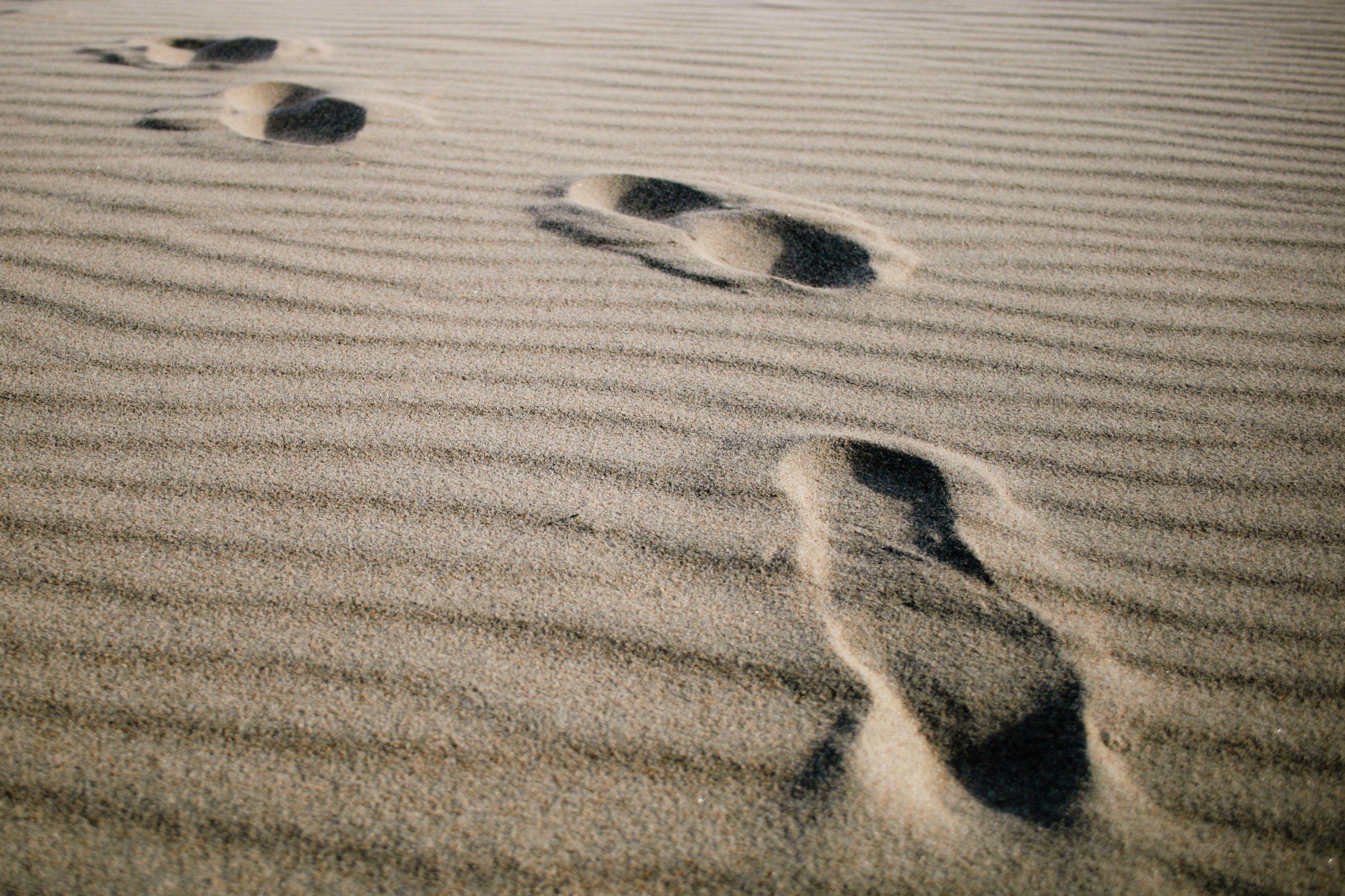 Footprints on the beach photo