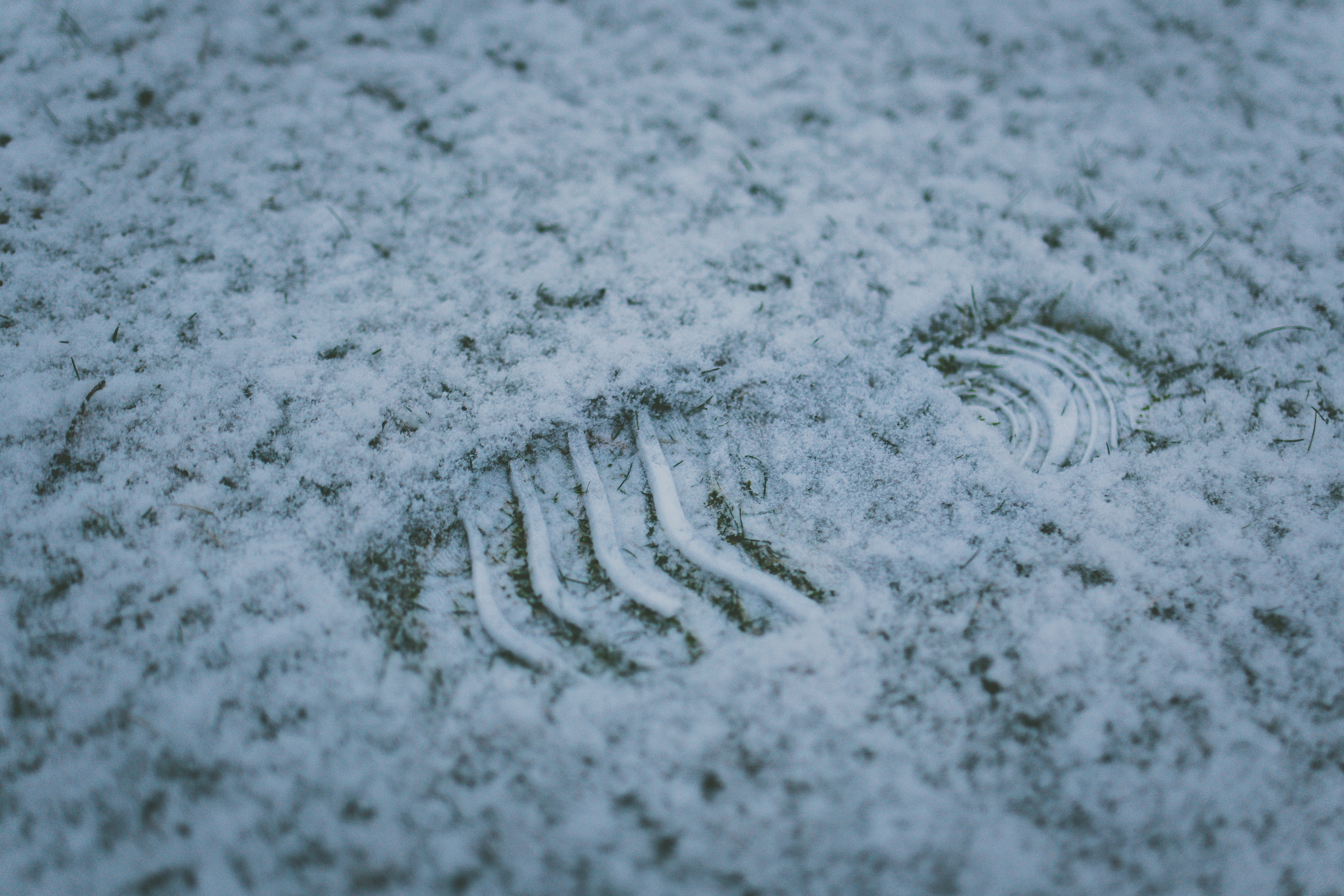 Footstep, Activity, Cold, Foot, Human, HQ Photo