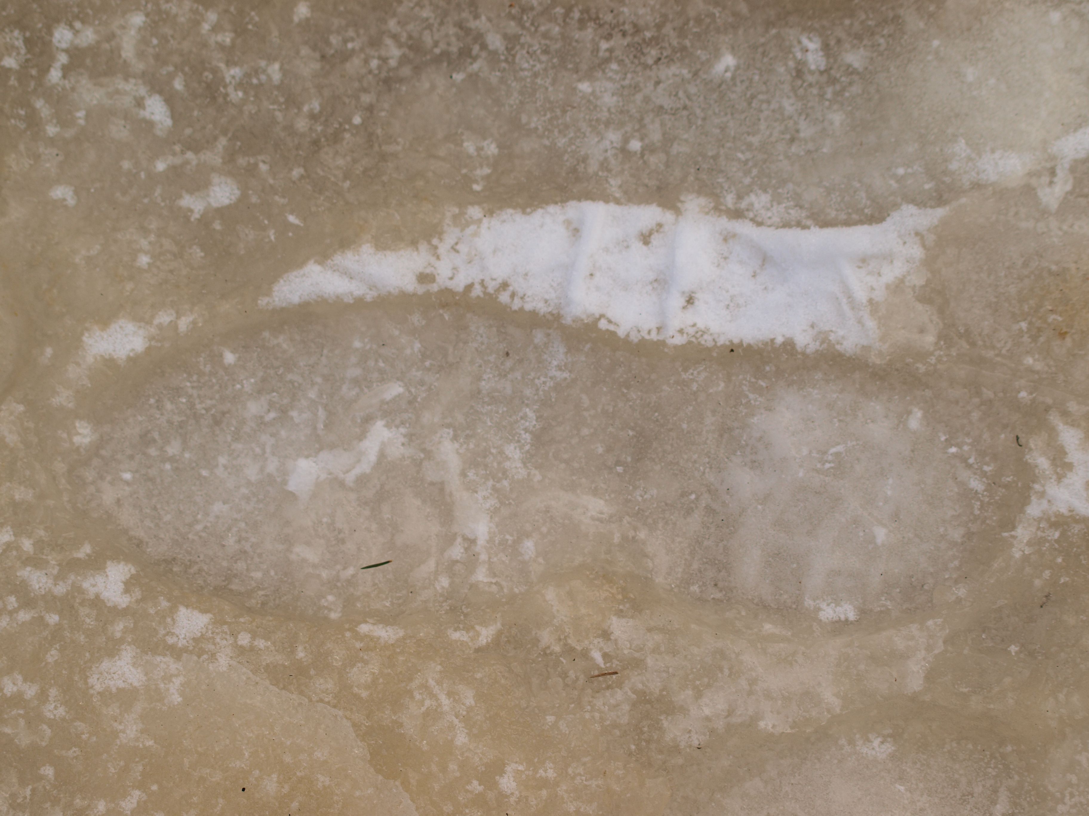Footstep in Ice Texture, Cold, Footstep, Freeze, Ice, HQ Photo
