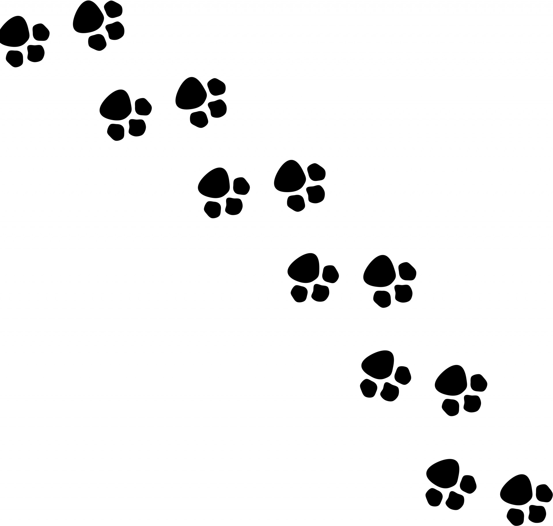 Animal Footsteps Silhouette Free Stock Photo - Public Domain Pictures