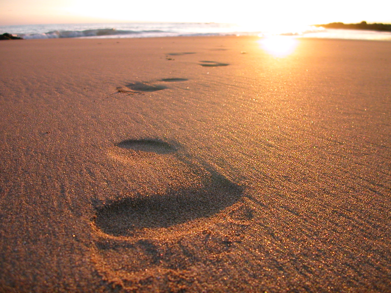 footsteps in the sand-2 | Reflections in The WORD