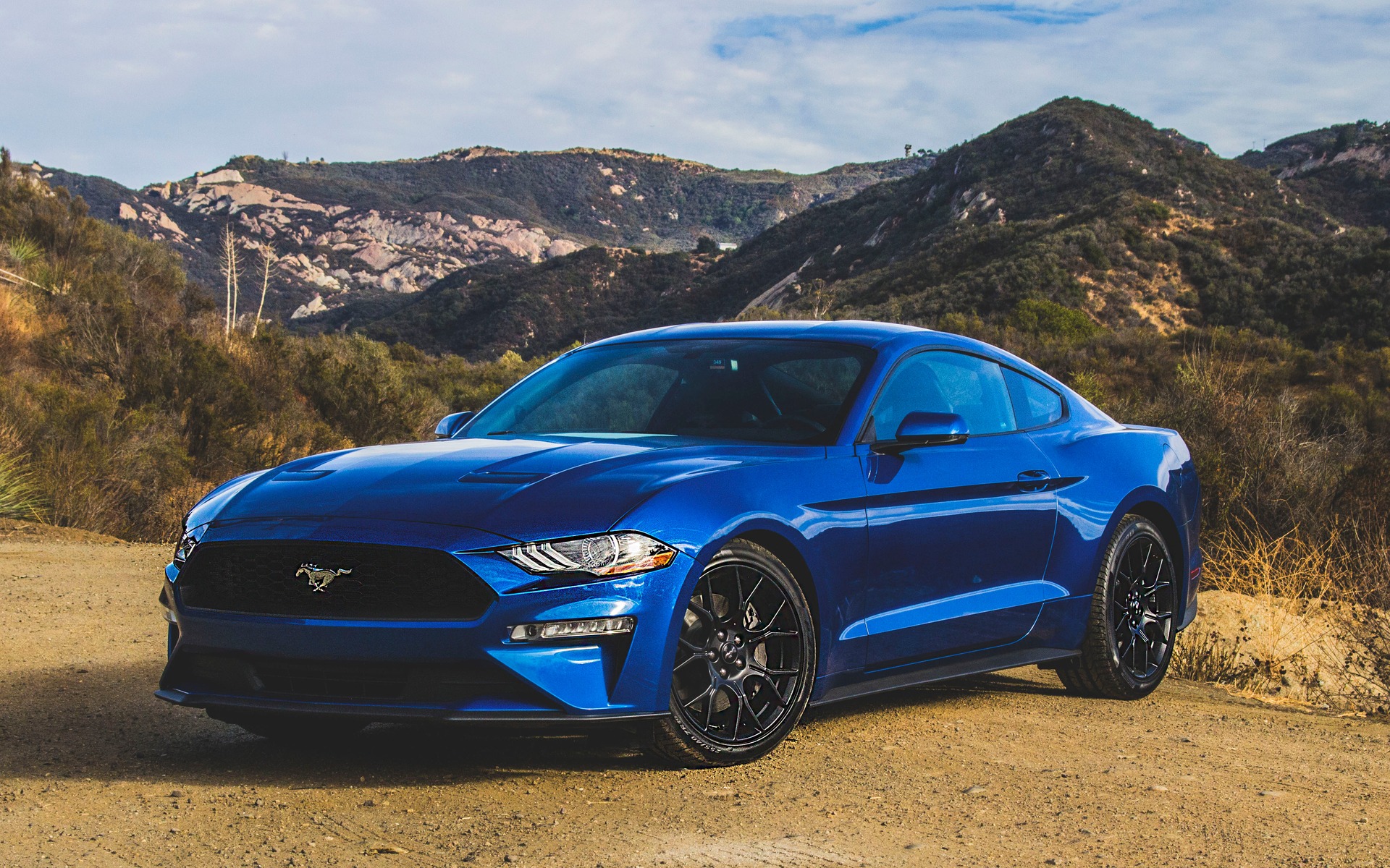 Ford mustang photo