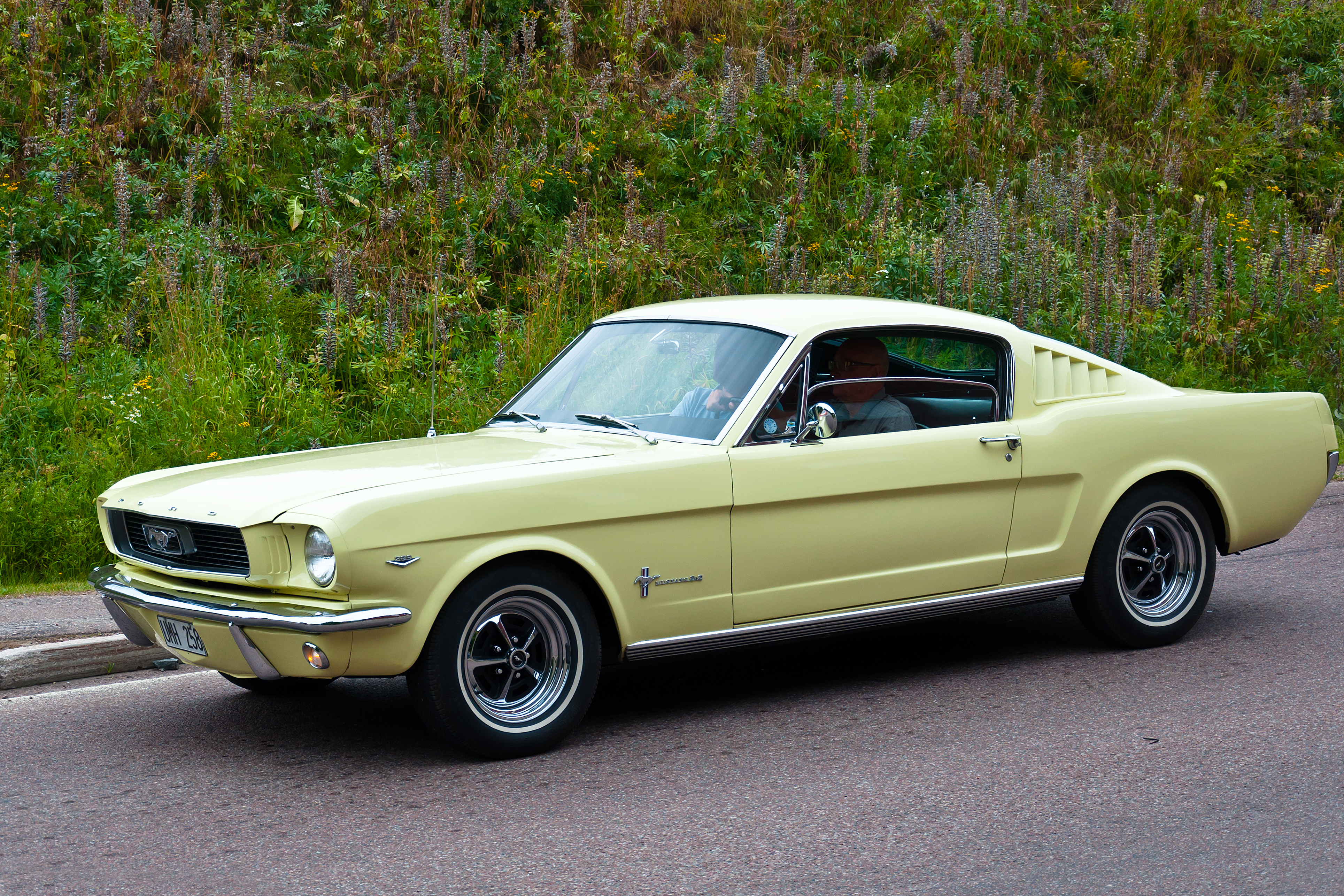 Ford mustang fastback 1966 photo