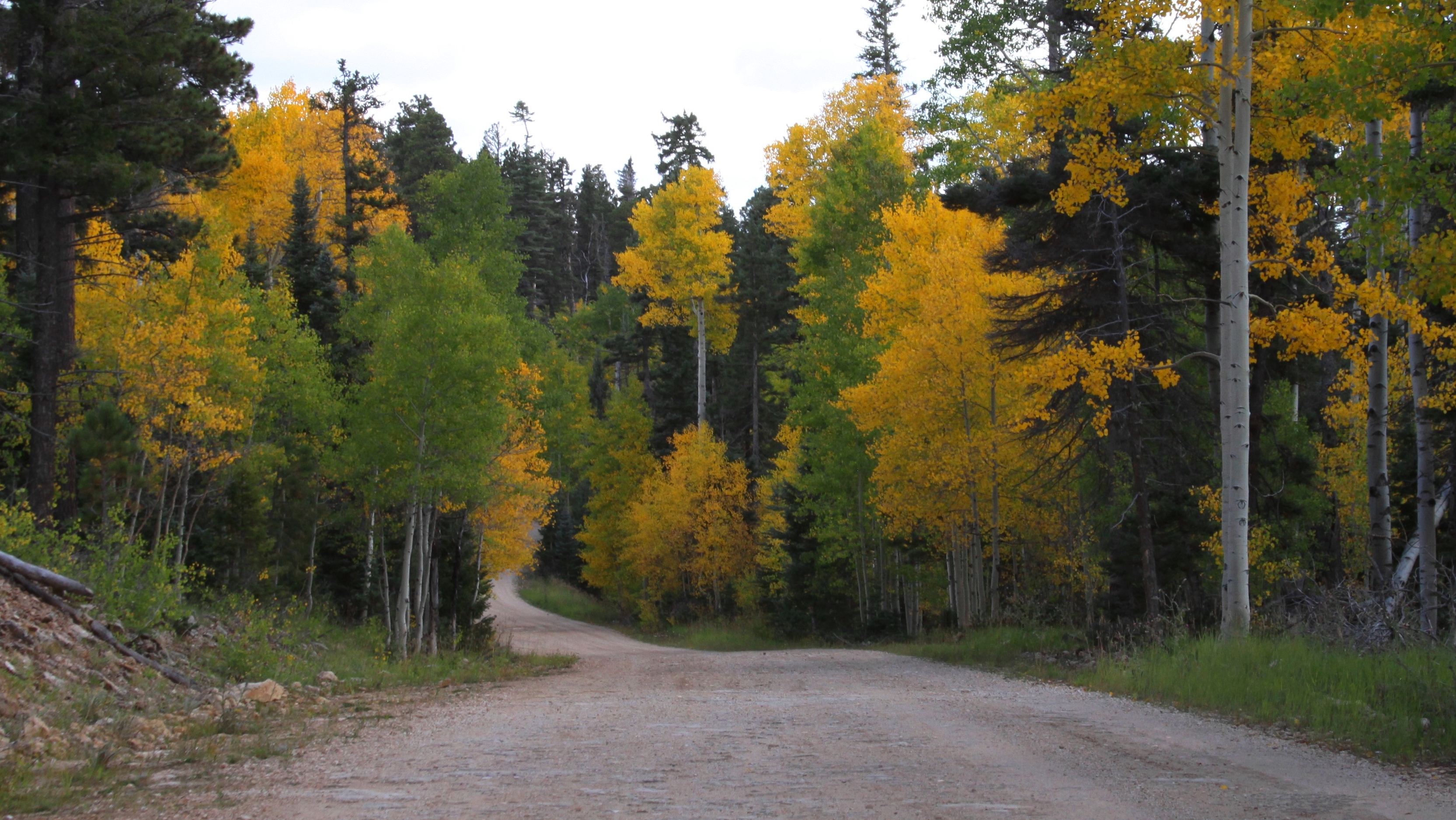Kaibab National Forest - Home