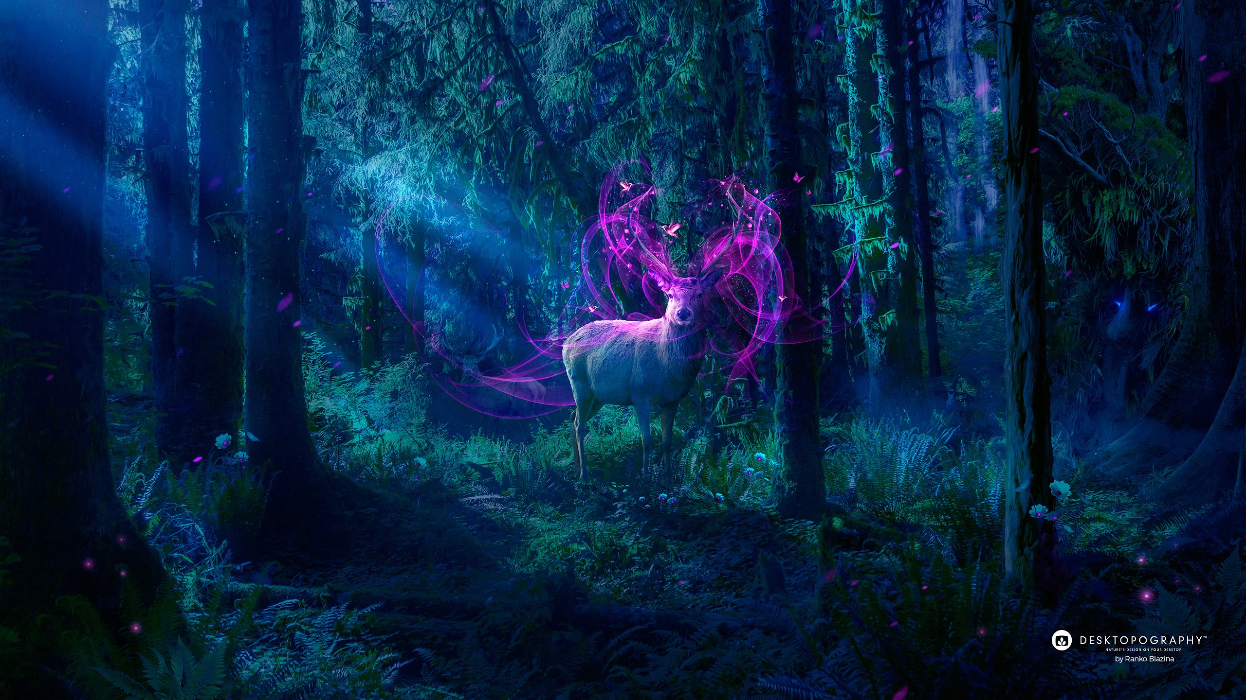 Magical forest - Desktopography