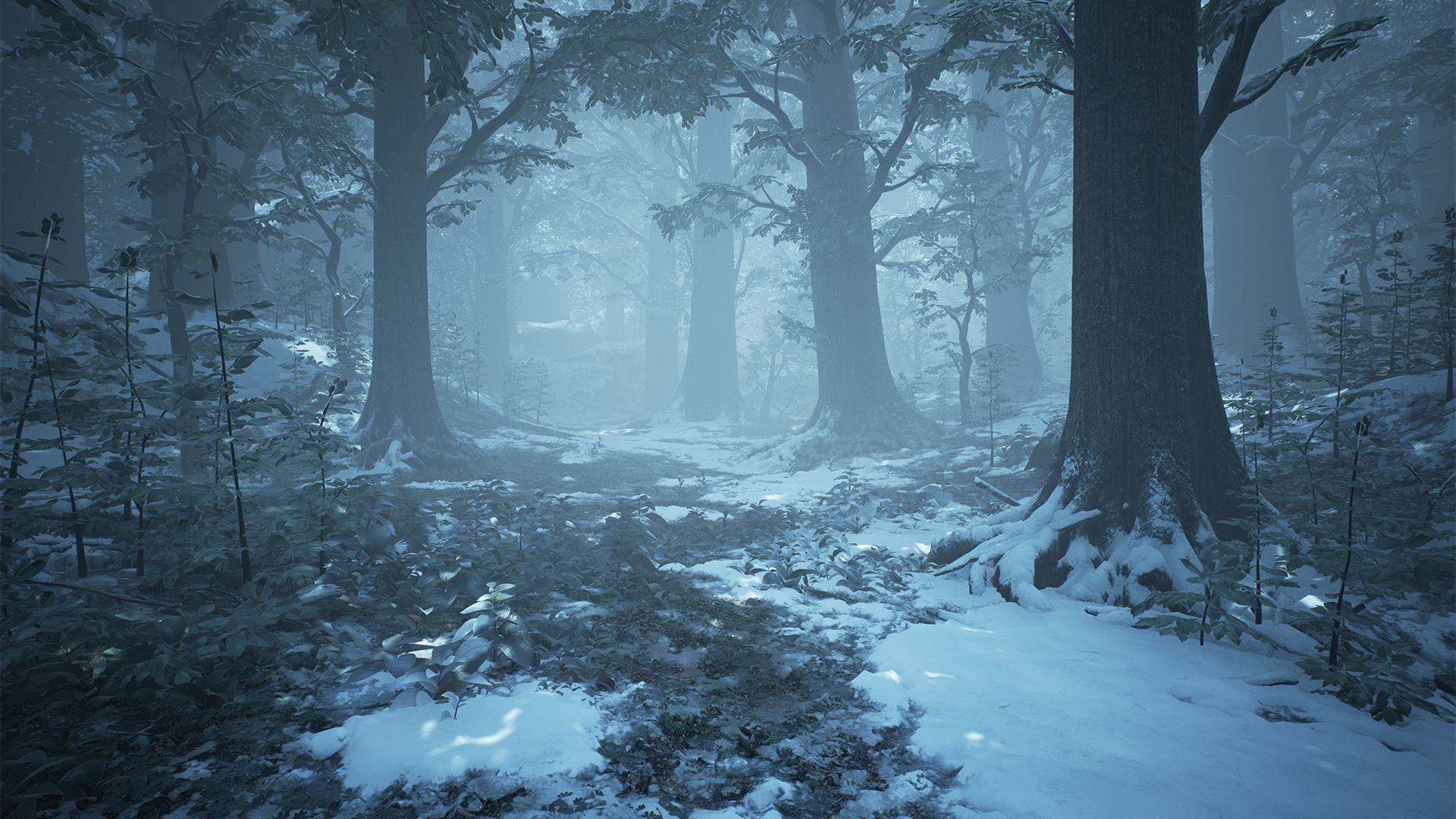 Winter forest. 