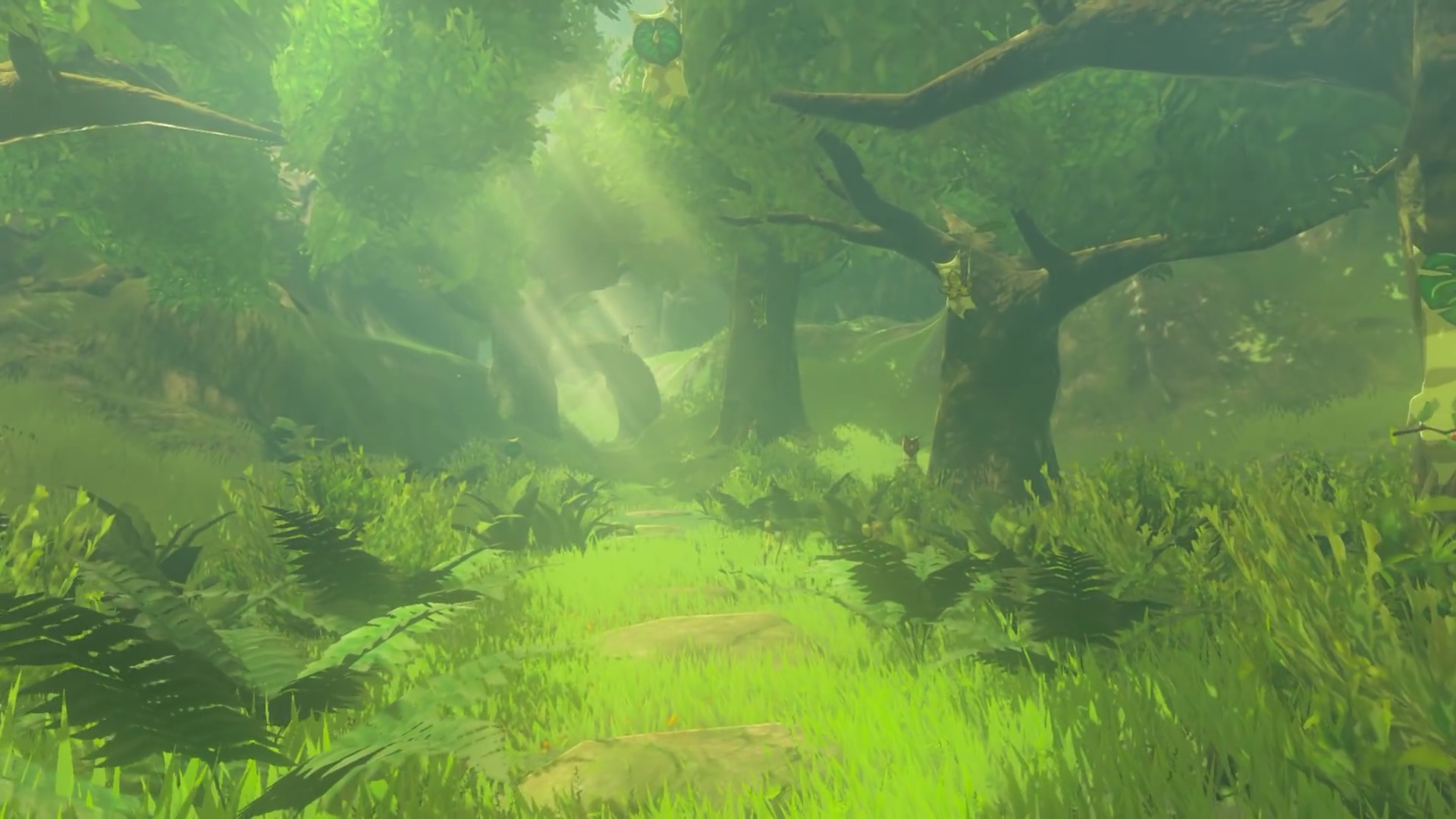 Korok Forest | Zeldapedia | FANDOM powered by Wikia
