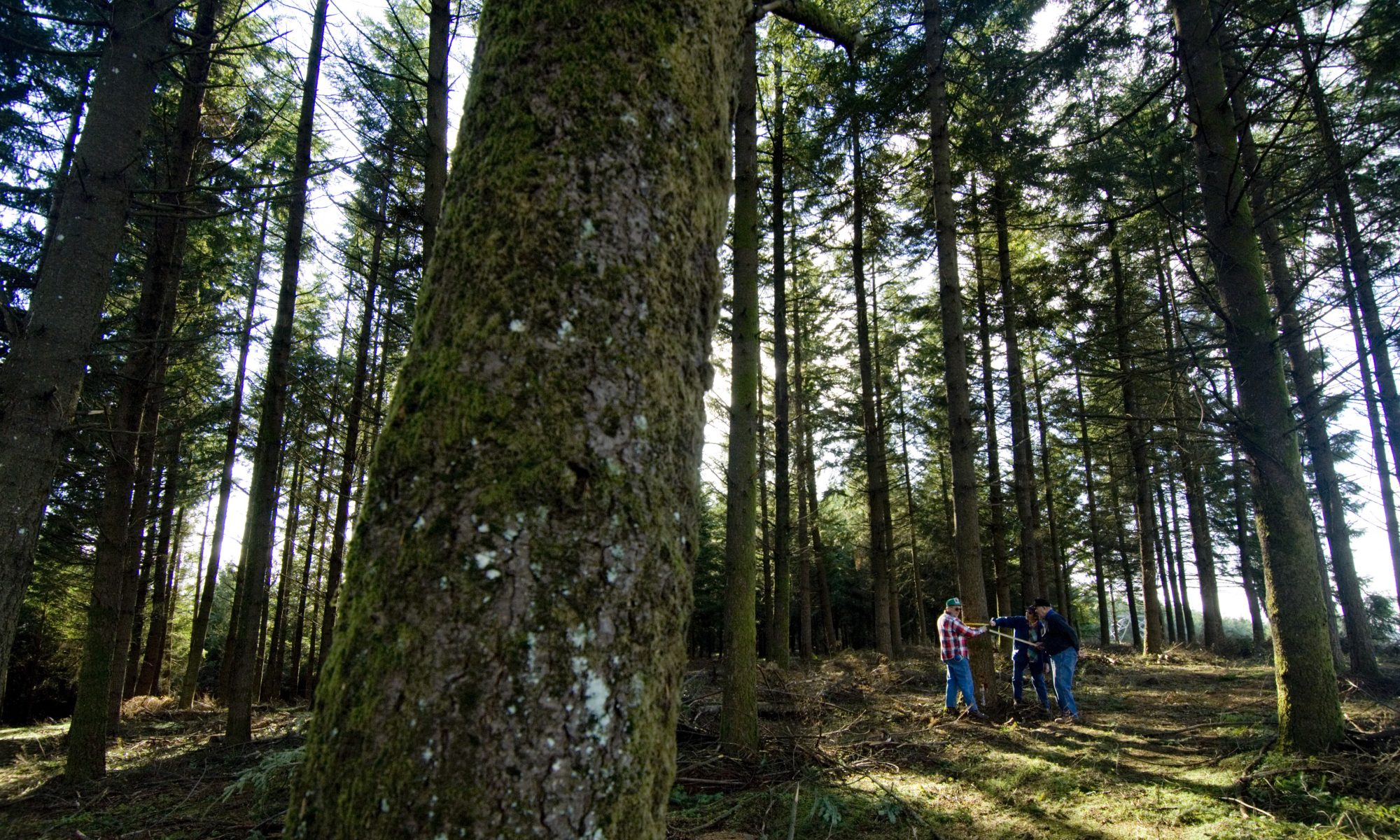 Welcome - Oregon Forest Management Planning