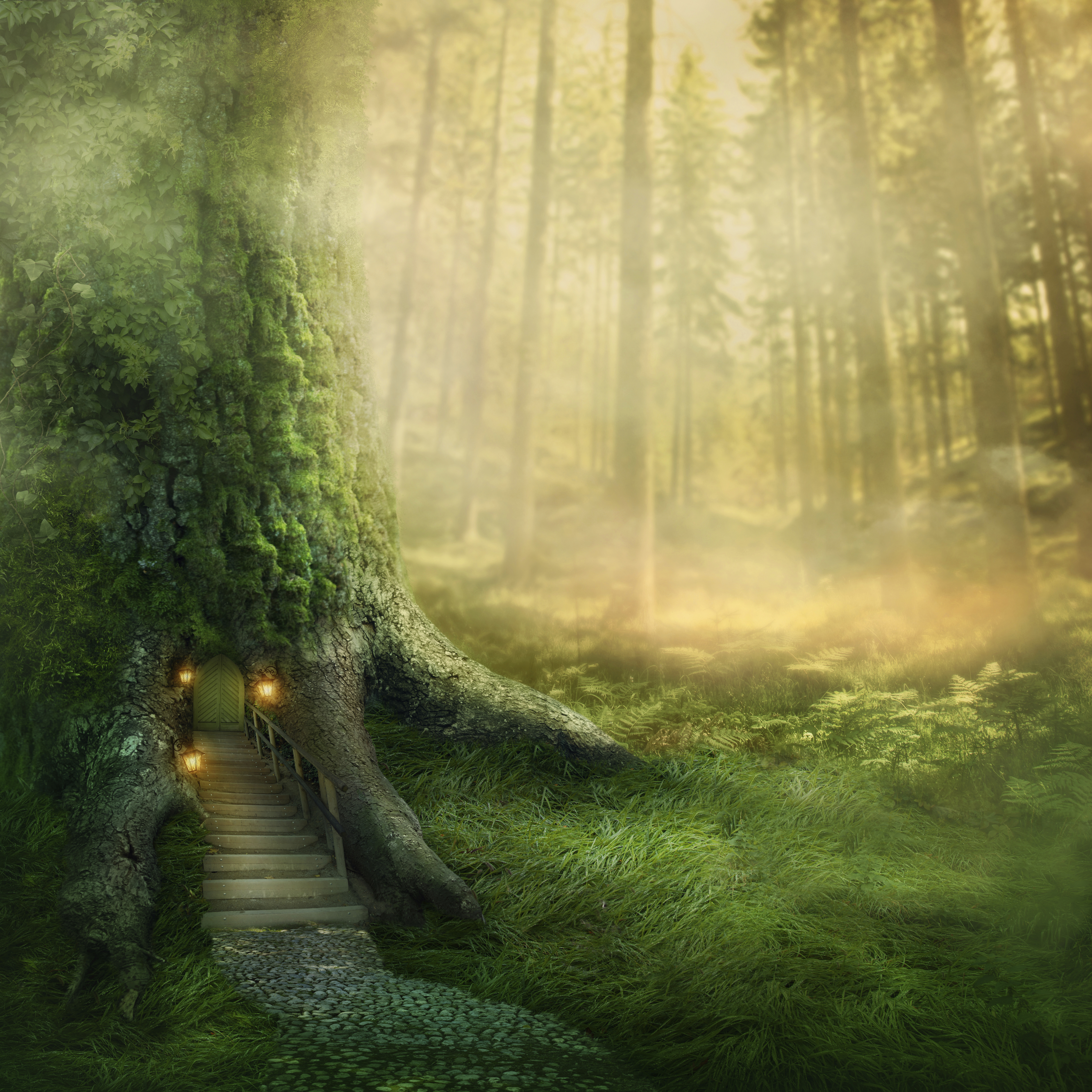 Elle's Enchanted Forest 5k