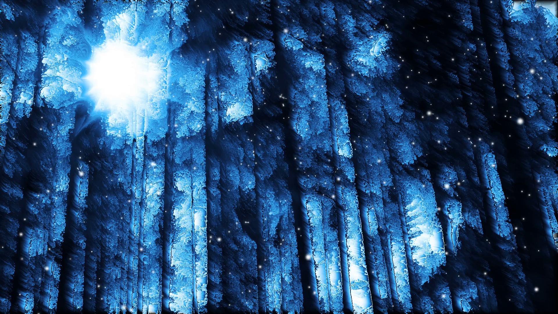 Winter night forest background loop Motion Background - Videoblocks