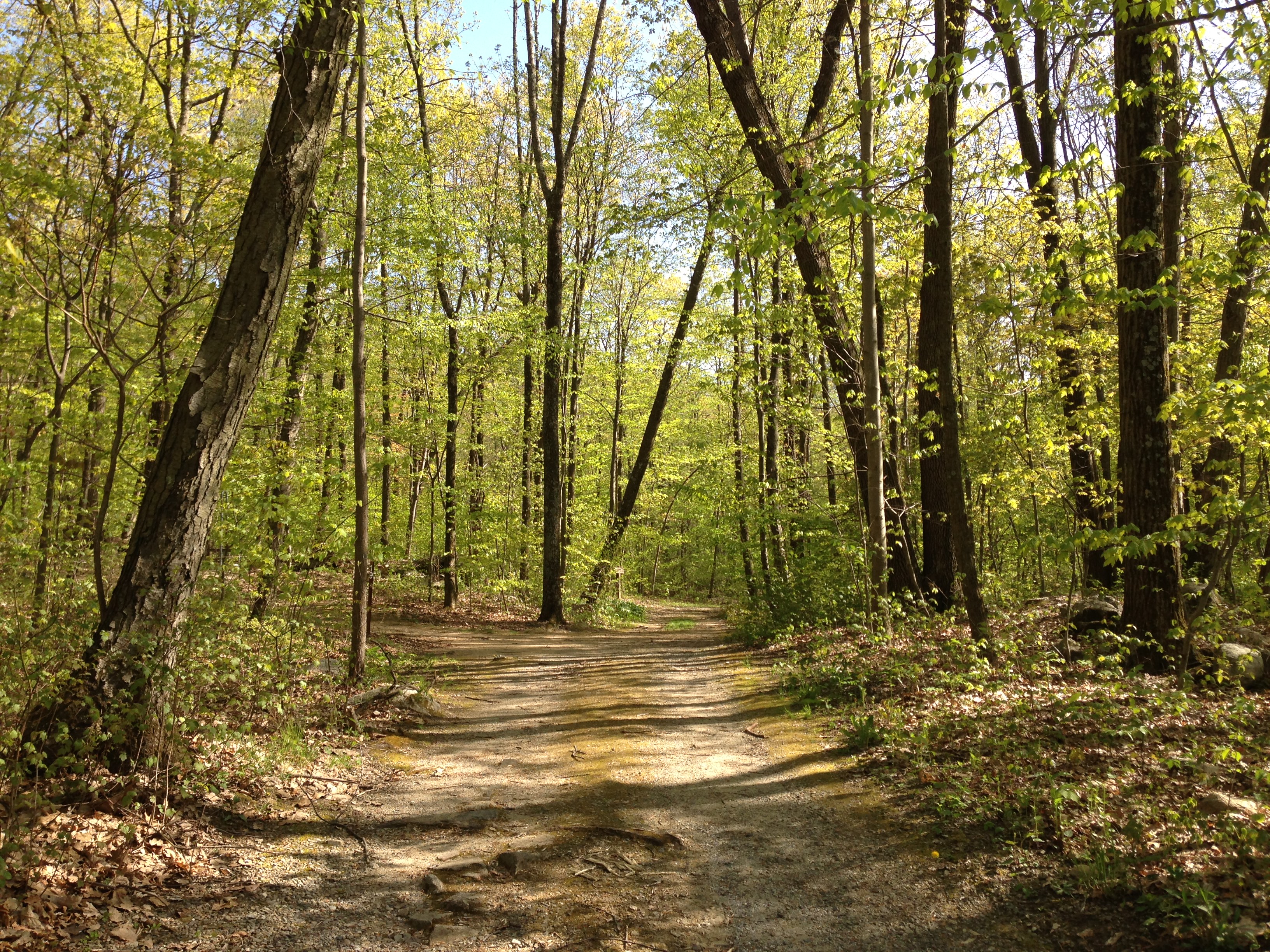 File:2013-05-06 16 33 15 View along a dirt road to a camp site in ...