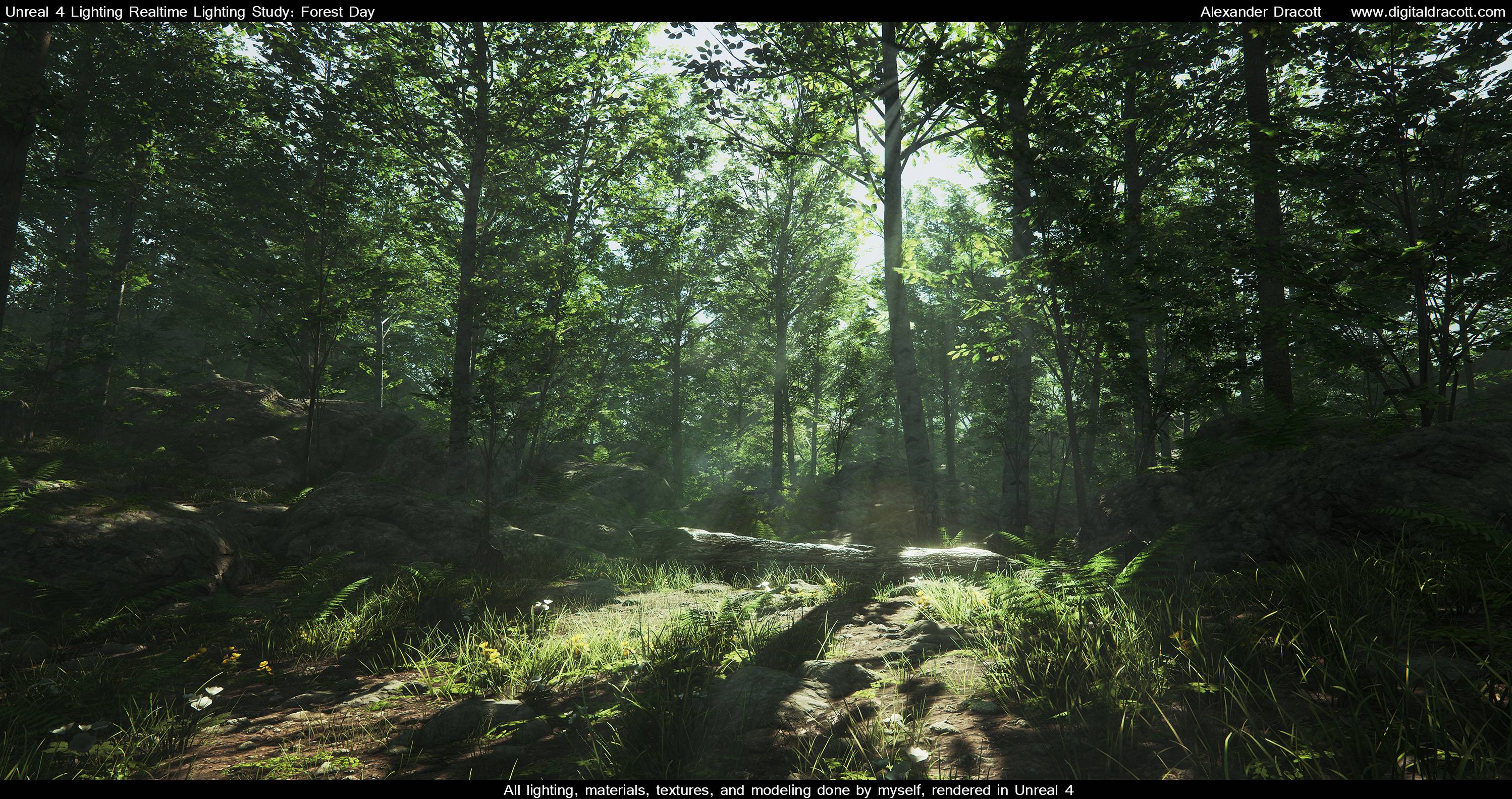 DigitalDracott's Blog: Forest Lighting Study: Daytime Finished!