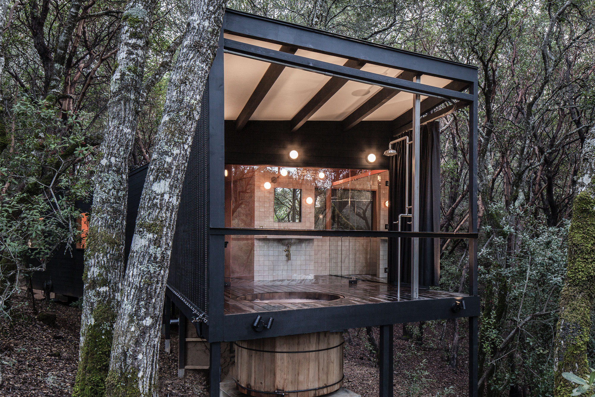 Forest House By Envelope A + D
