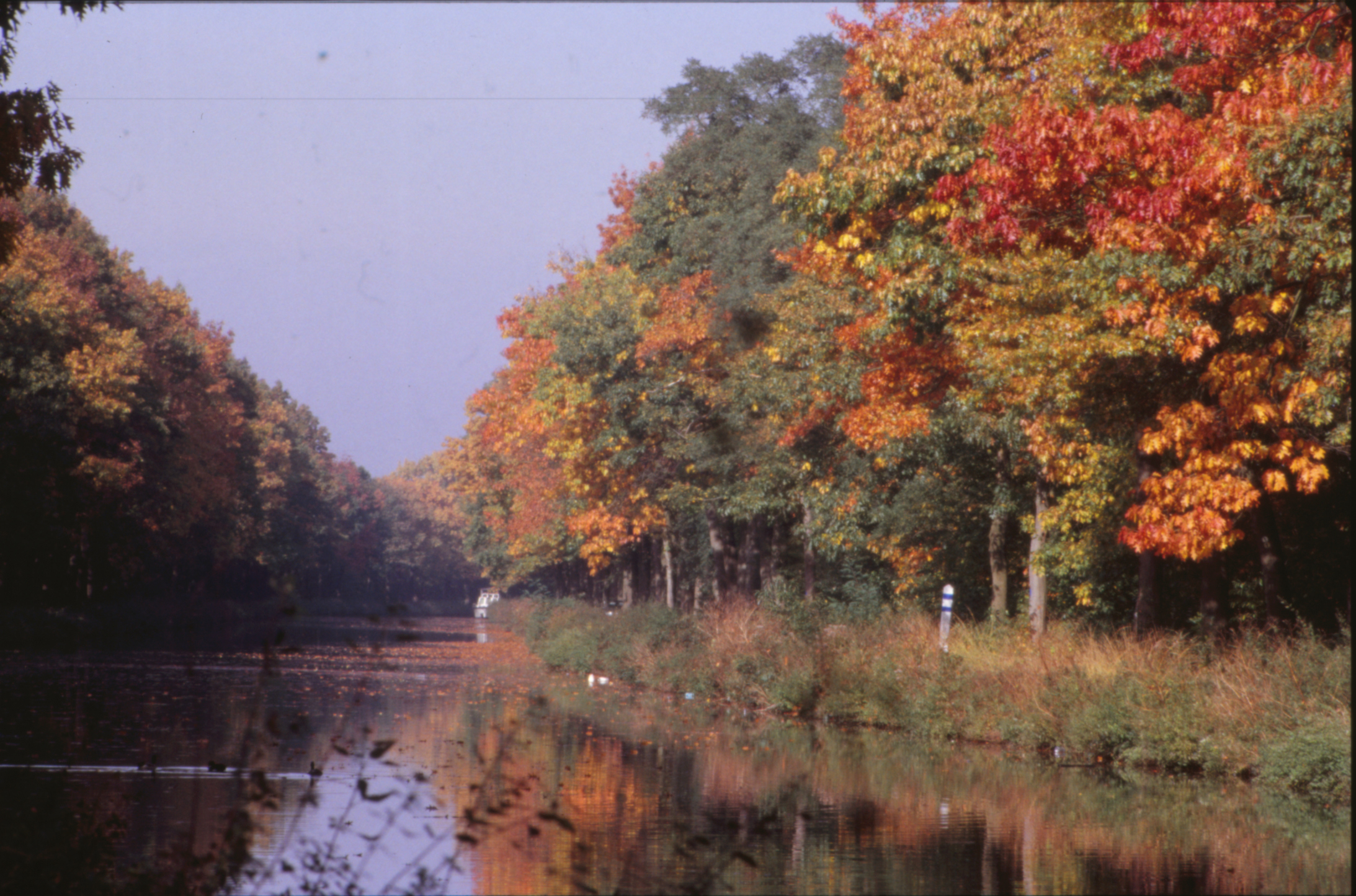 Forest landscape, Autumn, Colors, Fall, Lake, HQ Photo