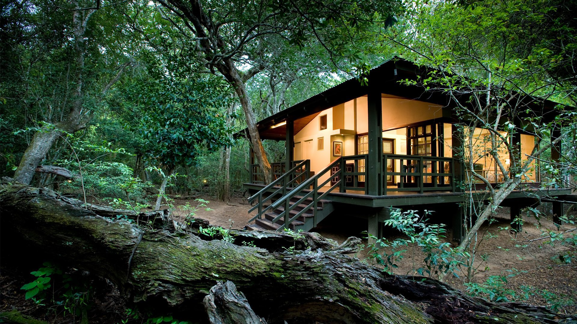andBeyond Phinda Forest Lodge | Phinda Private Game Reserve