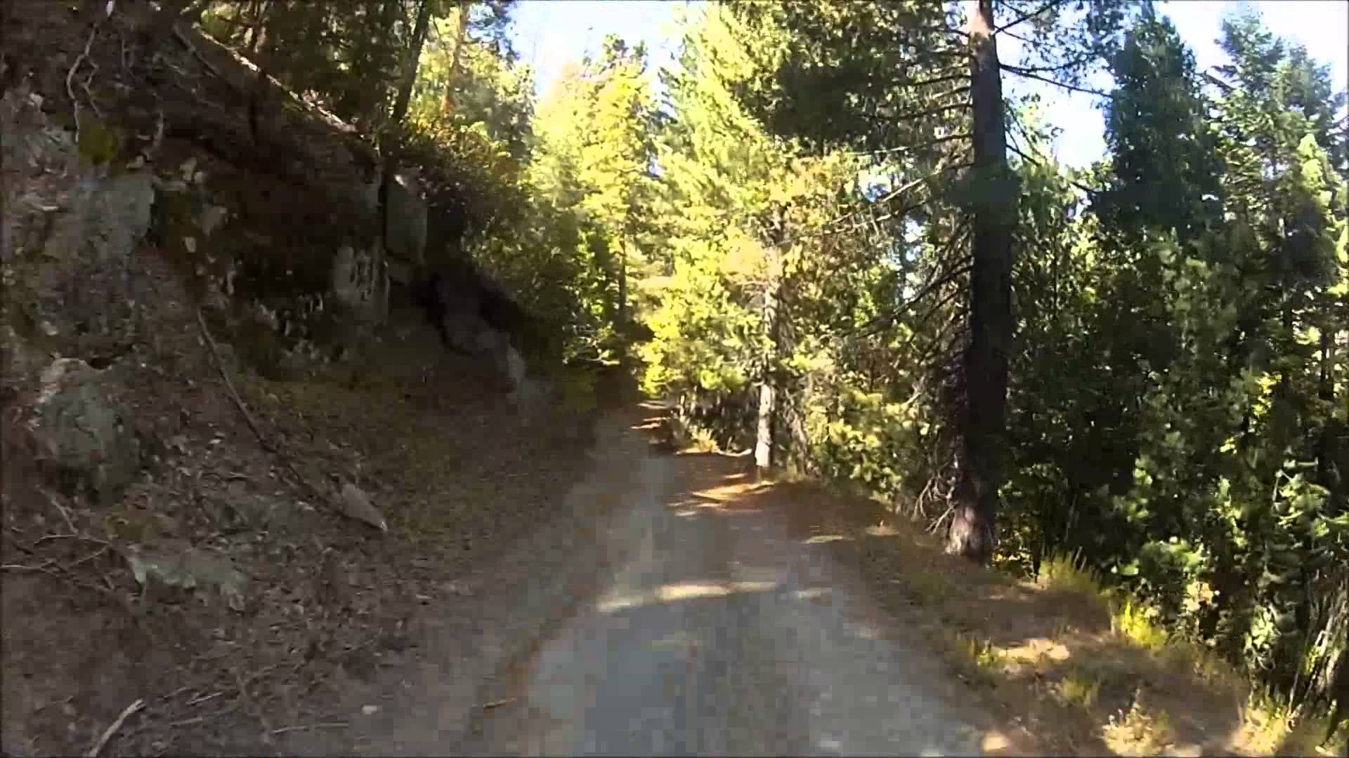 Forest route 13s05 trip - YouTube