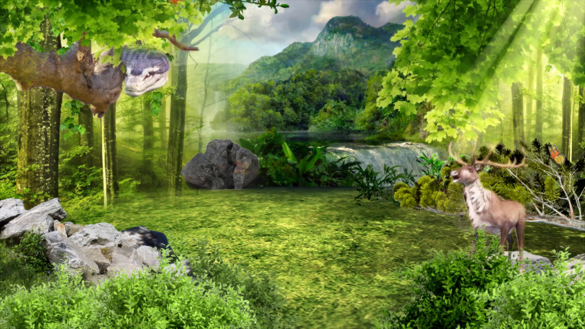 Virtual Forest Scene With Animal Motion Background - Videoblocks