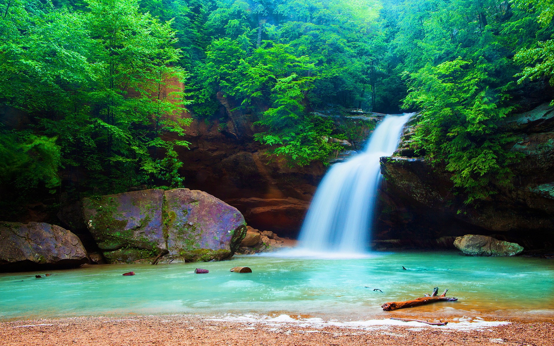 Waterfalls: Forest Waterfall Nature Forests Waterfalls Scenery HD ...