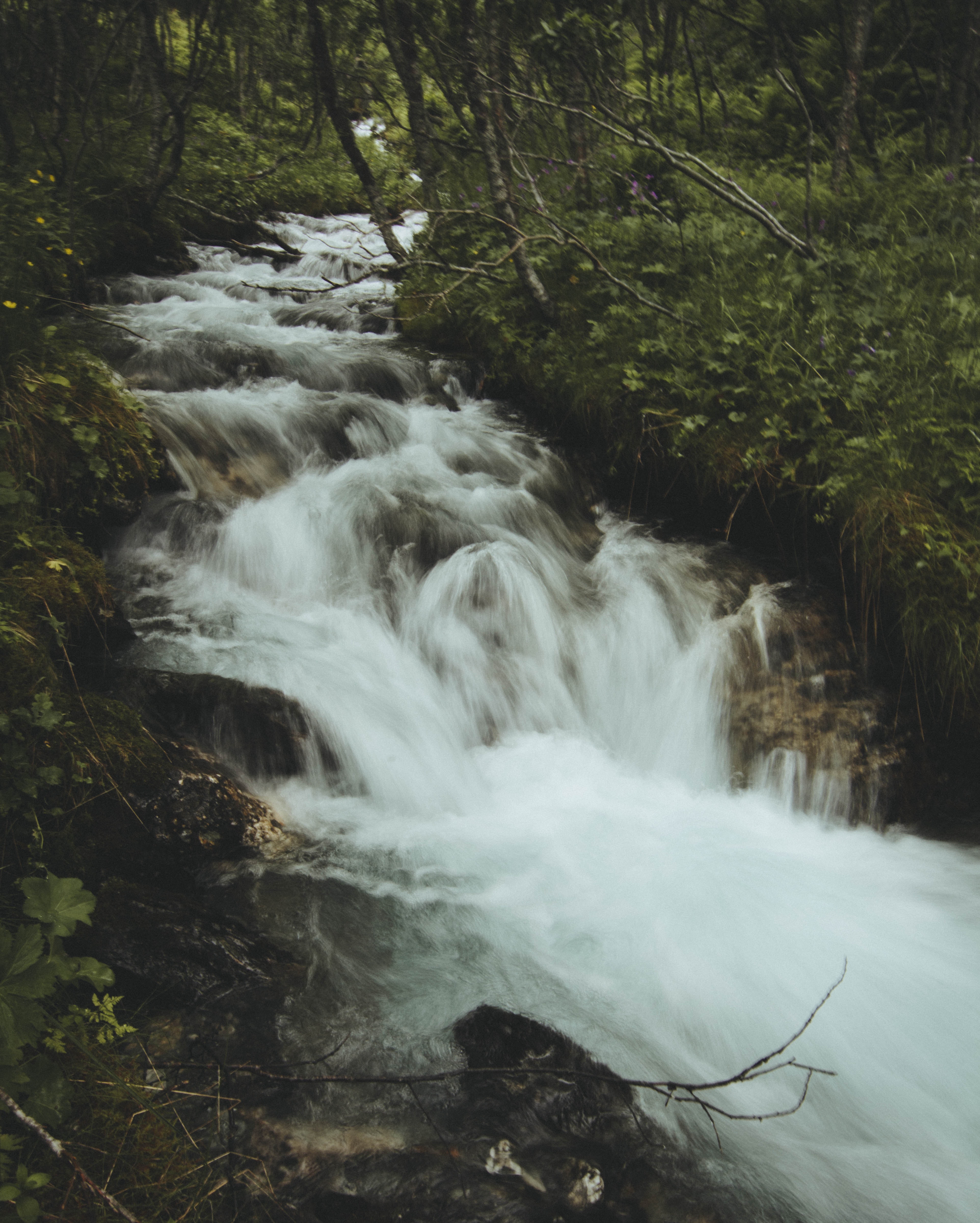 Forest Water Falls, Creek, Rocks, Wet, Water, HQ Photo
