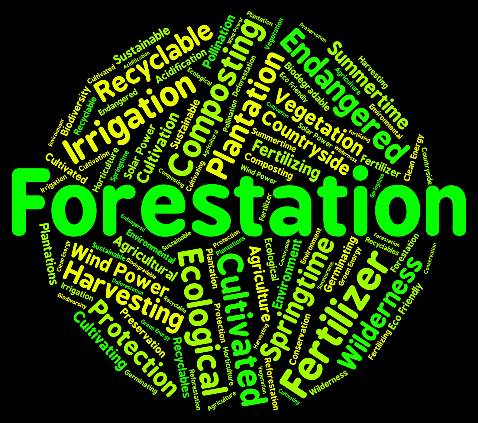 Forestation word shows woodlands woods and trees photo