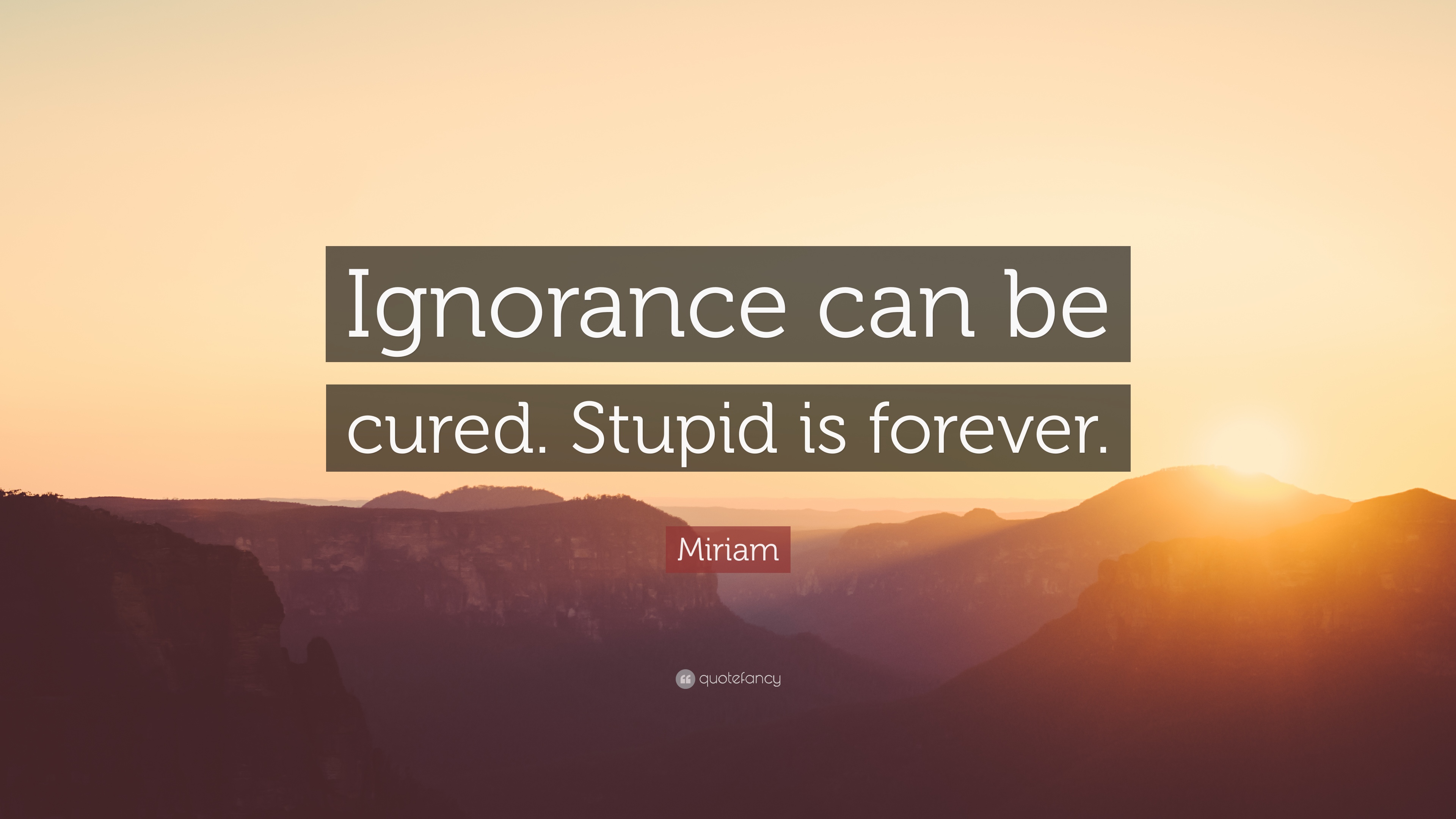 Miriam Quote: “Ignorance can be cured. Stupid is forever.” (10 ...