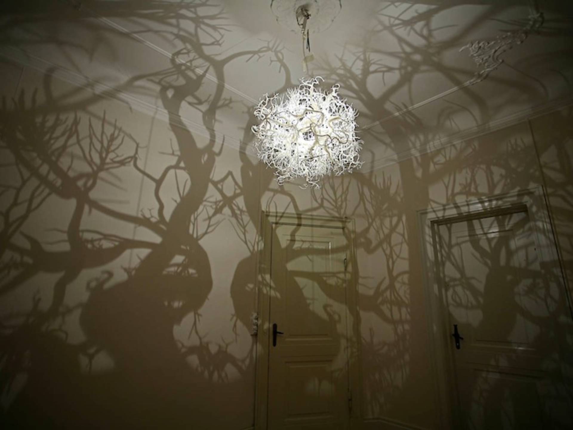 Forms in Nature” Lamp, Casting Unusual Shadows, by Thyra Hilden and ...