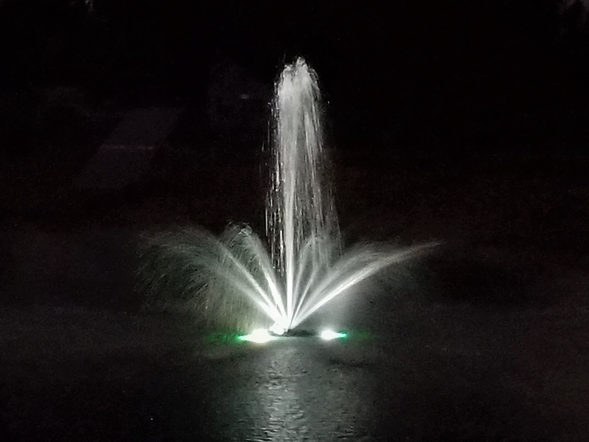 1 hp Eco Fountain with 100' Cord & LED Lights