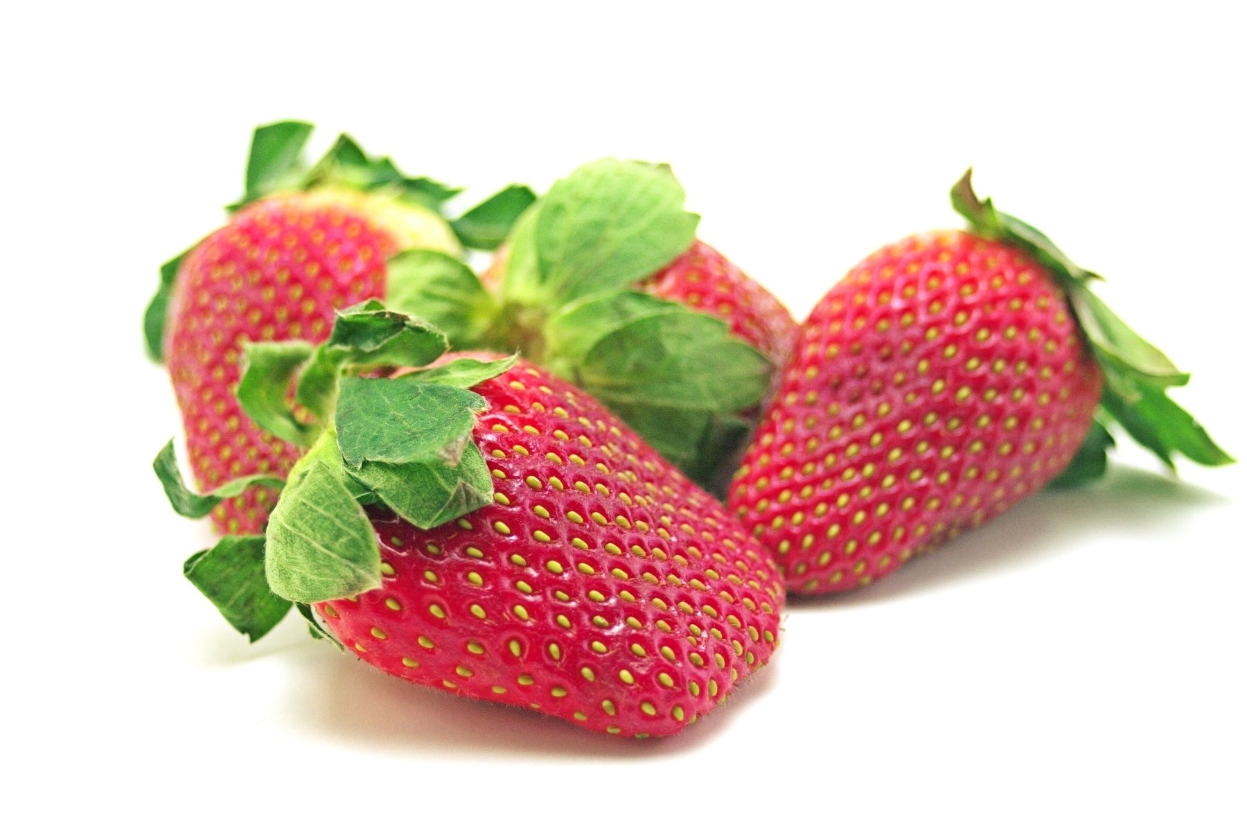 Four strawberries photo